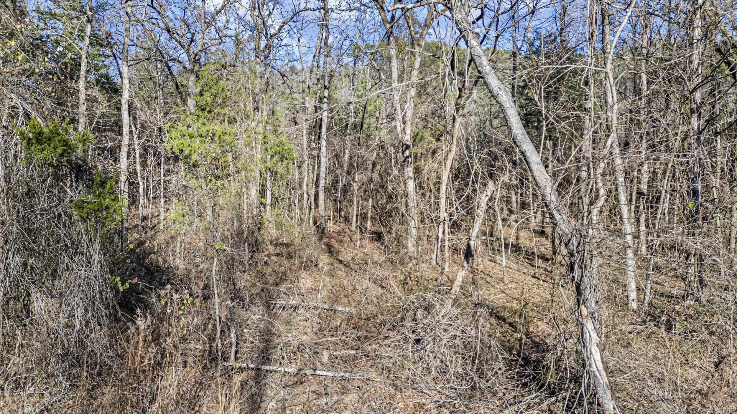 80 acres off of SR 164 W  Dover, AR