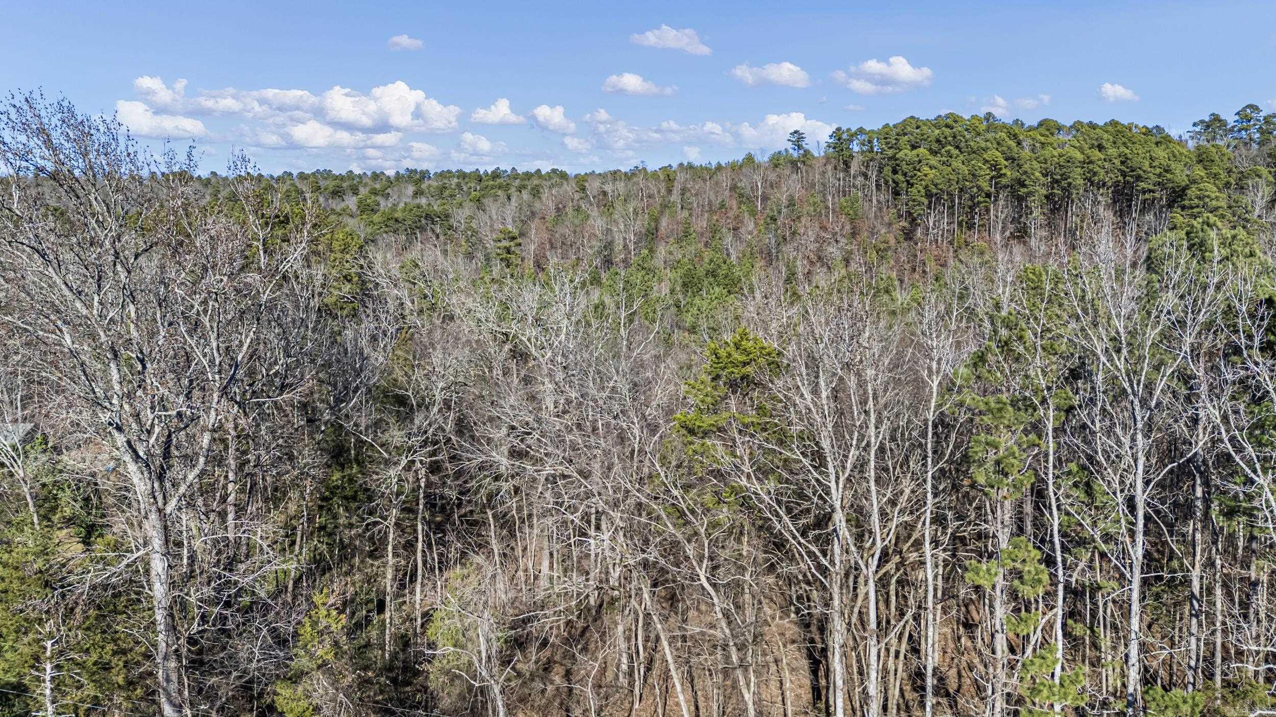 80 acres off of SR 164 W  Dover, AR