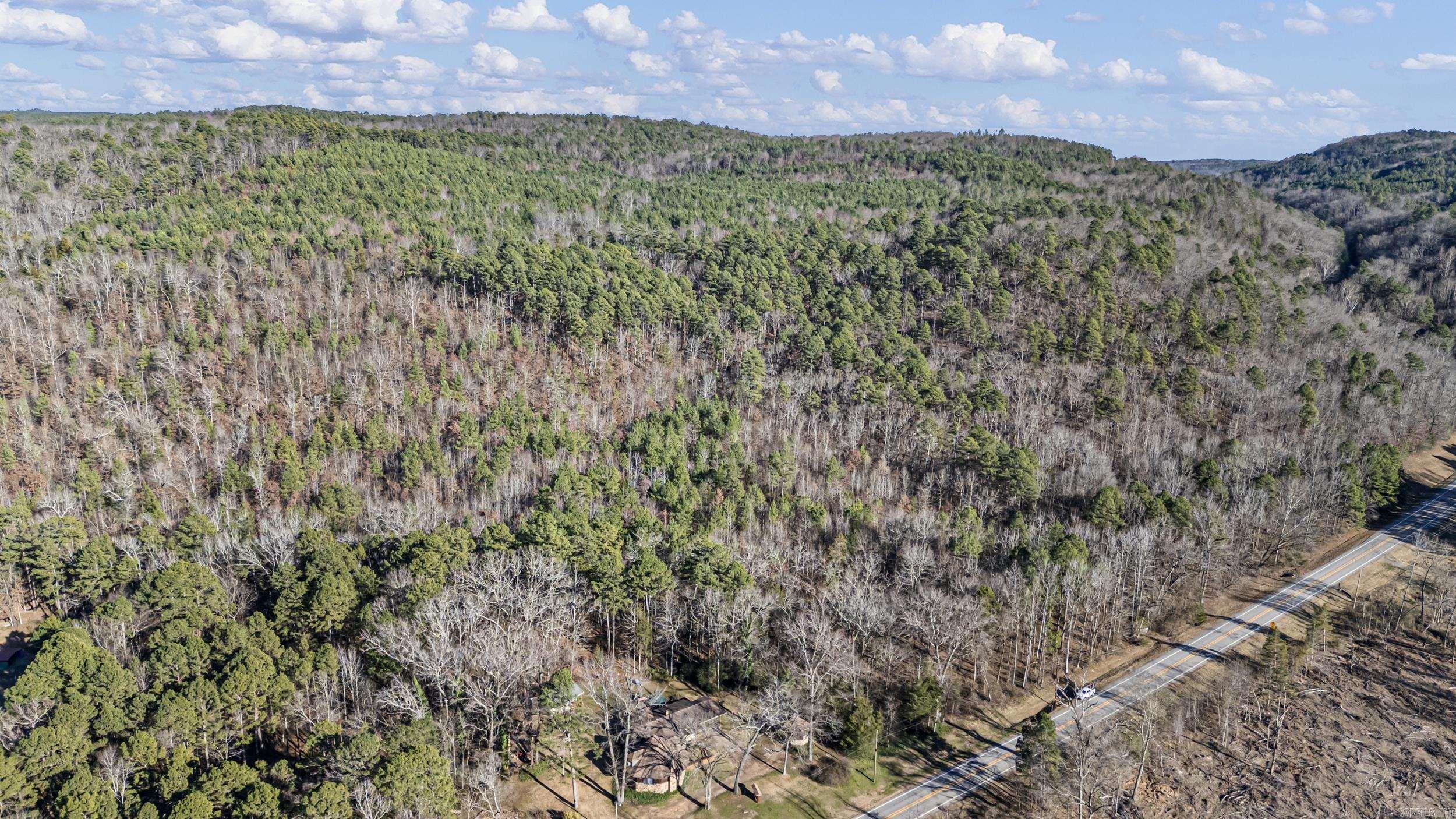80 acres off of SR 164 W  Dover, AR