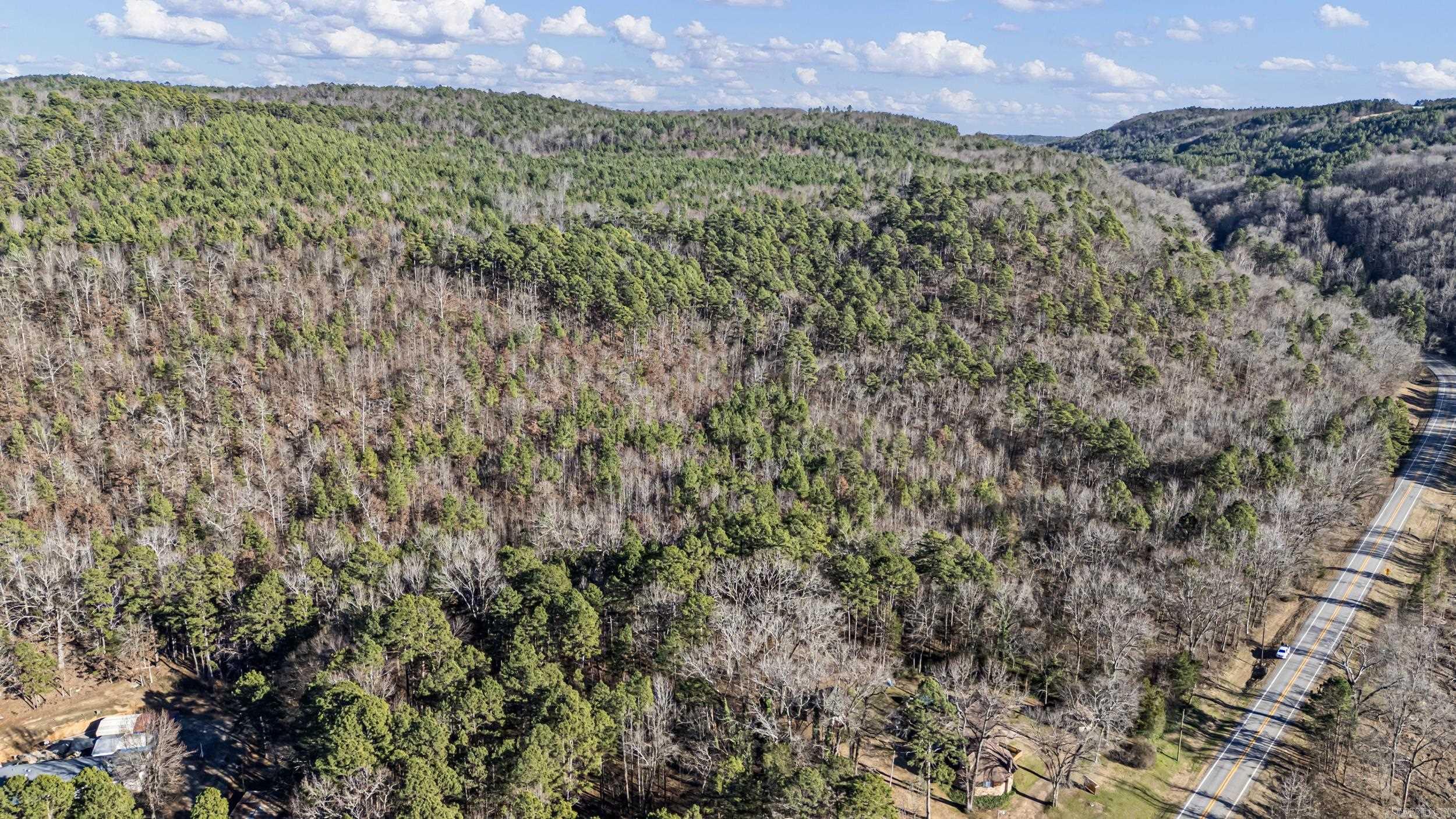 80 acres off of SR 164 W  Dover, AR