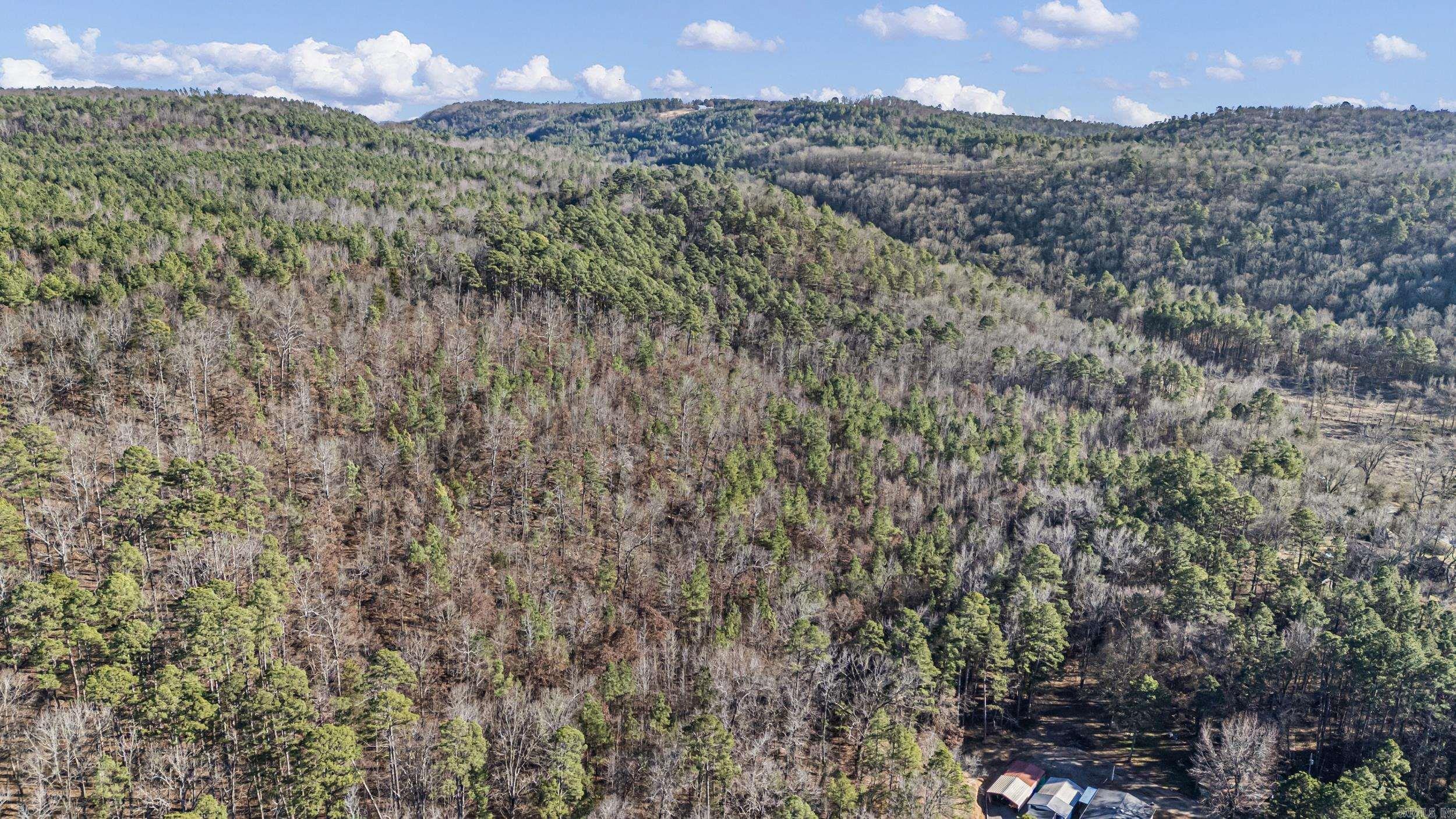 80 acres off of SR 164 W  Dover, AR