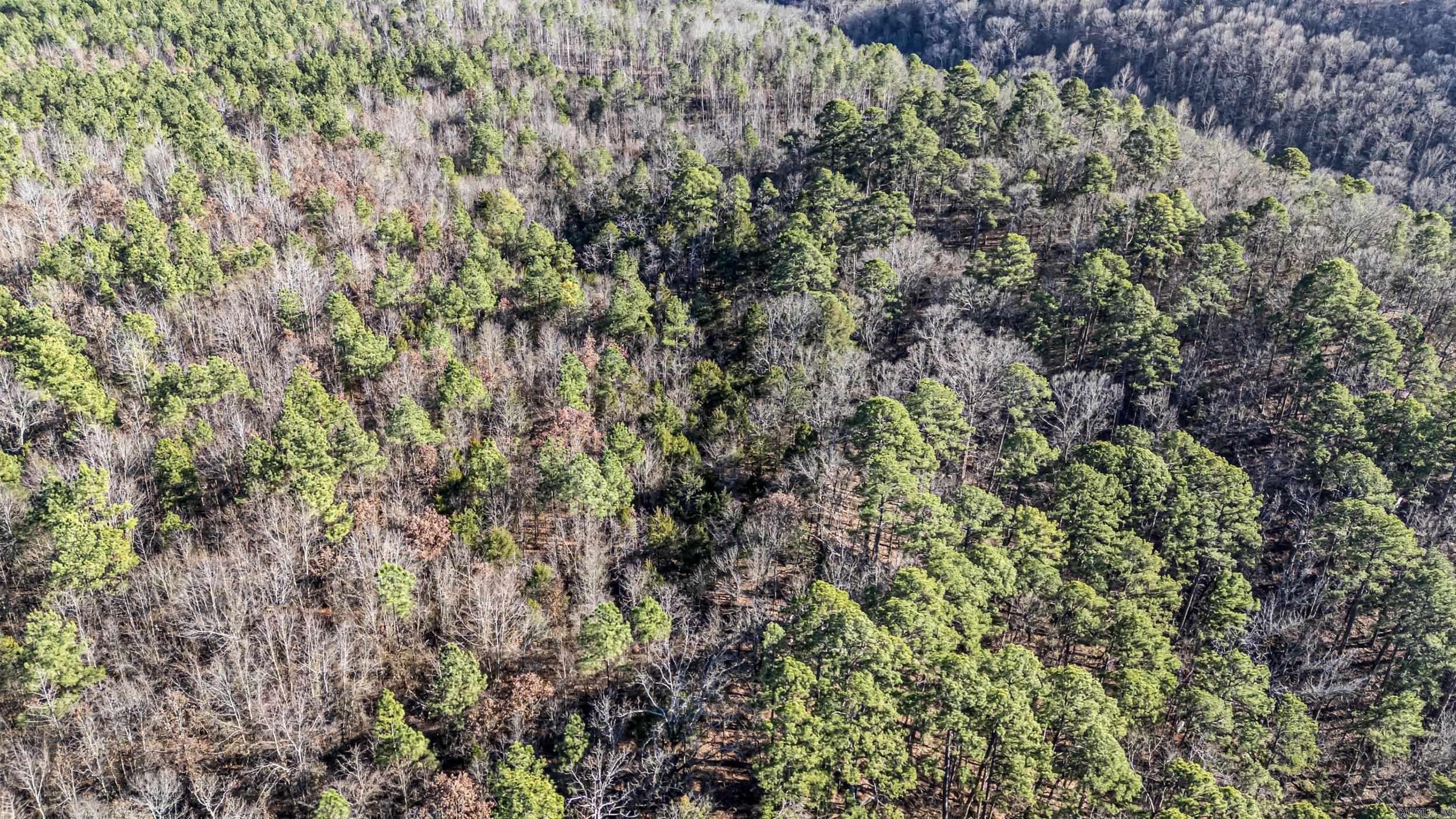 80 acres off of SR 164 W  Dover, AR