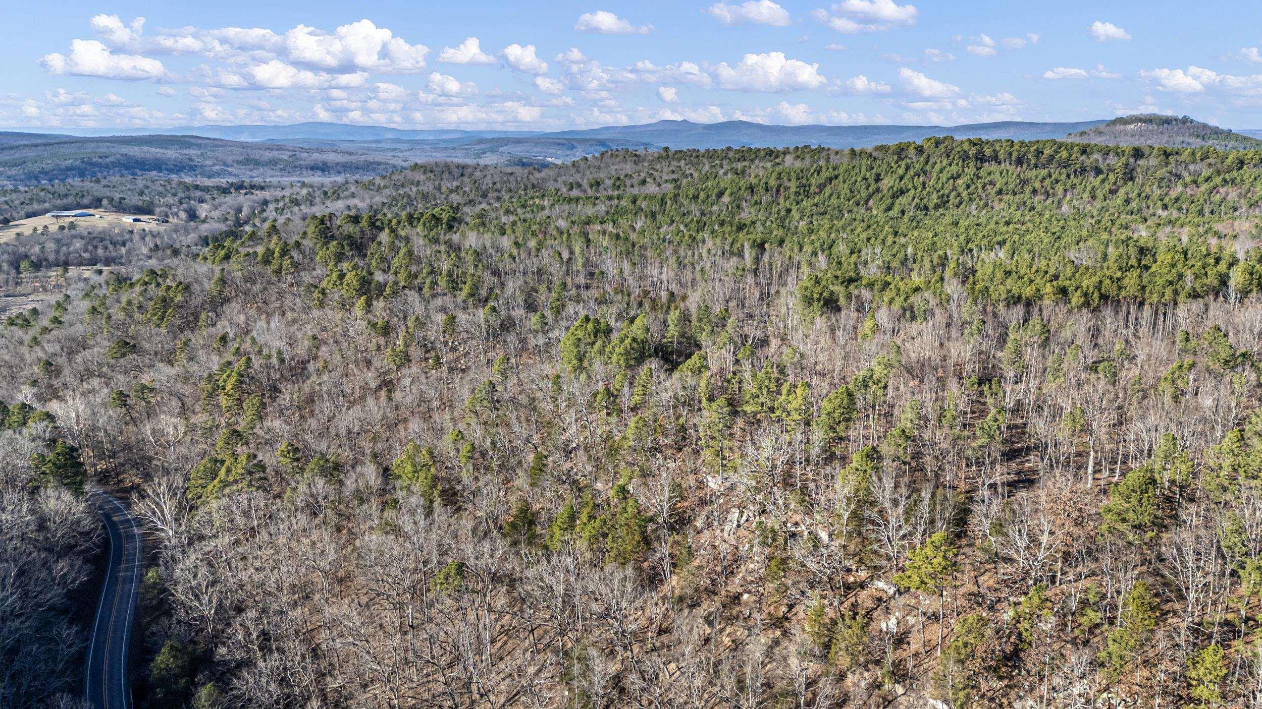 80 acres off of SR 164 W  Dover, AR