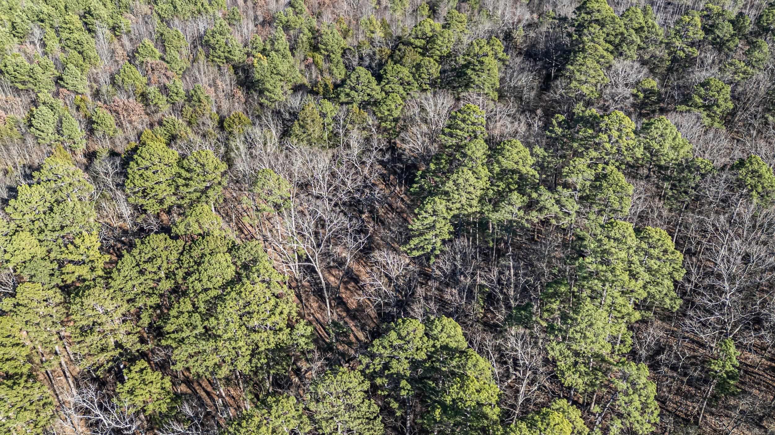 80 acres off of SR 164 W  Dover, AR