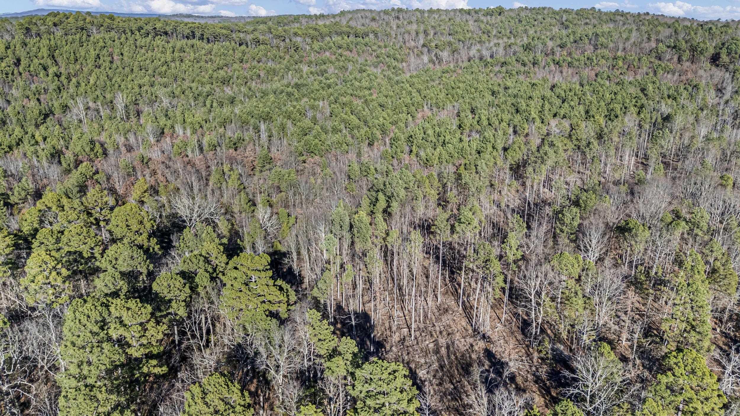 80 acres off of SR 164 W  Dover, AR