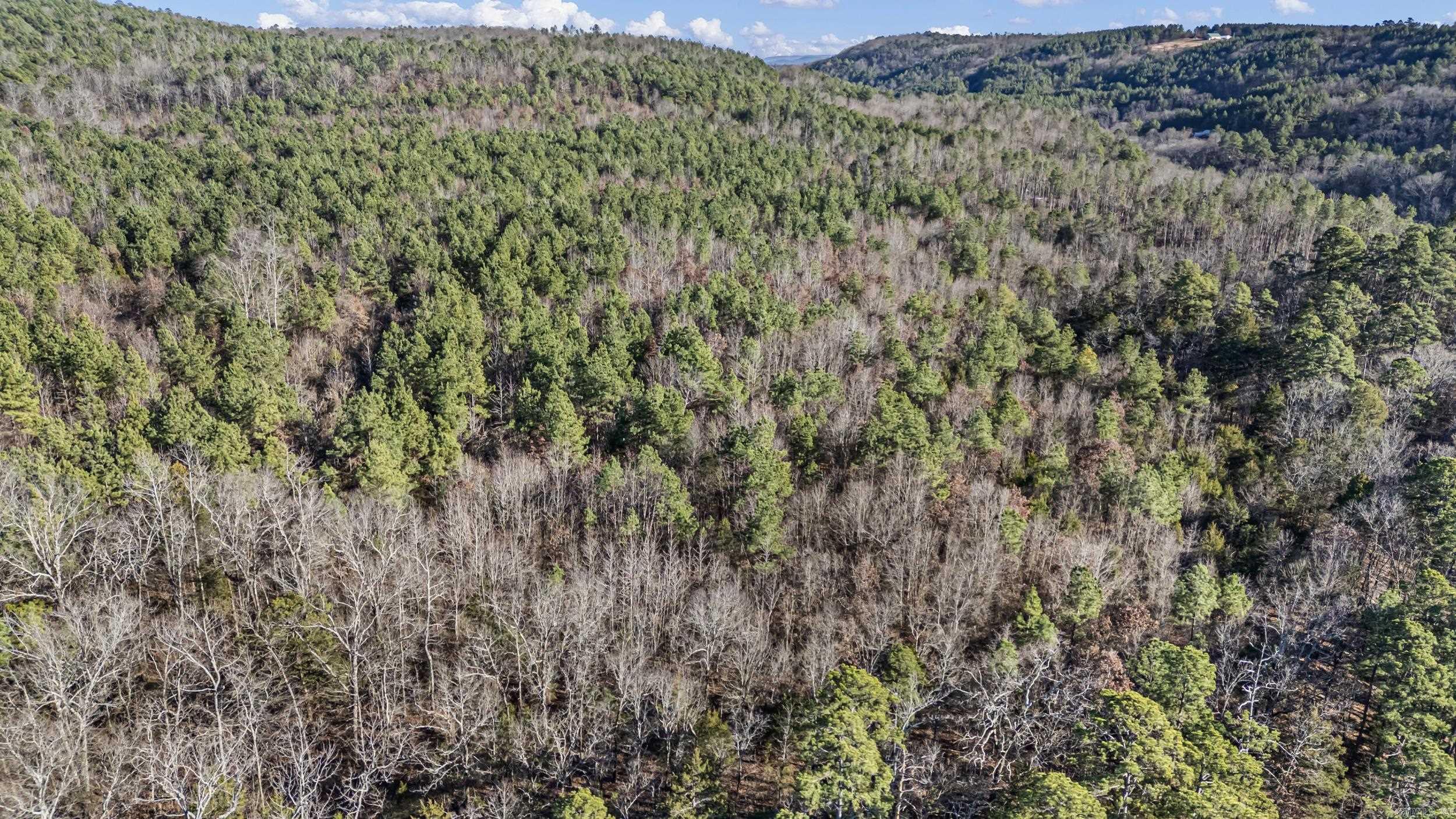 80 acres off of SR 164 W  Dover, AR