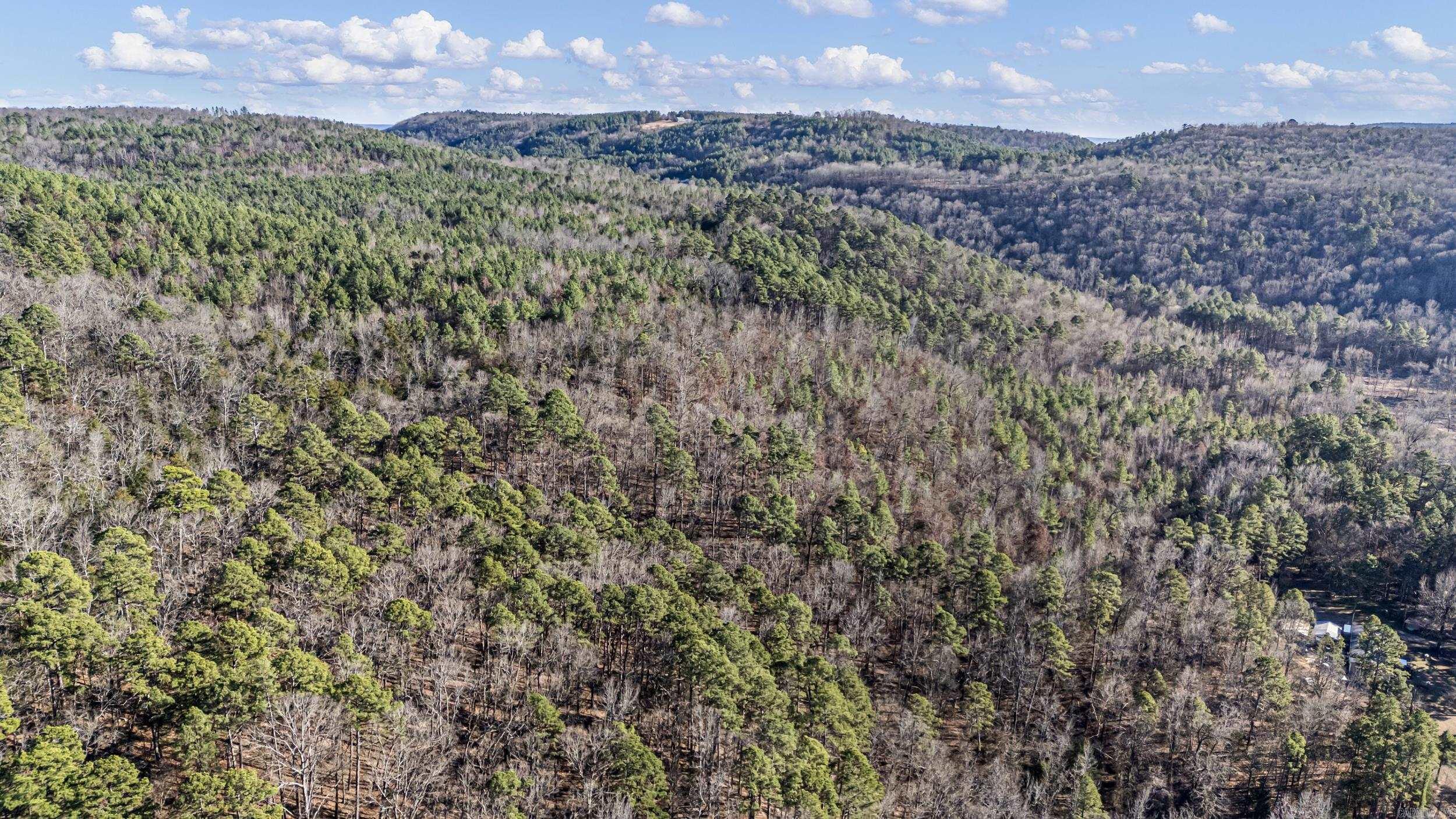 80 acres off of SR 164 W  Dover, AR