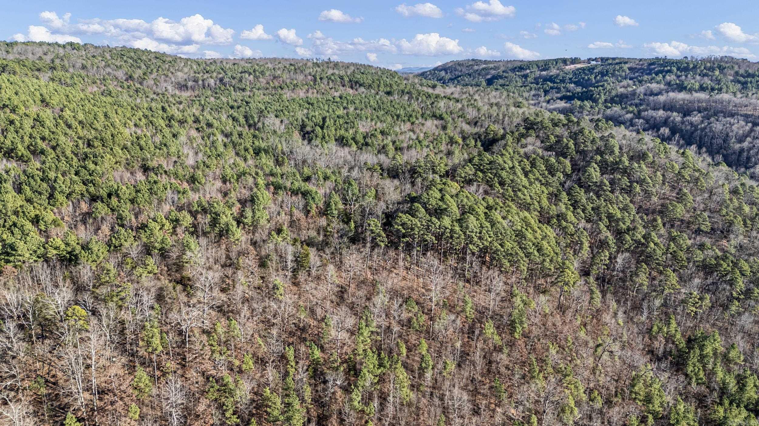 80 acres off of SR 164 W  Dover, AR