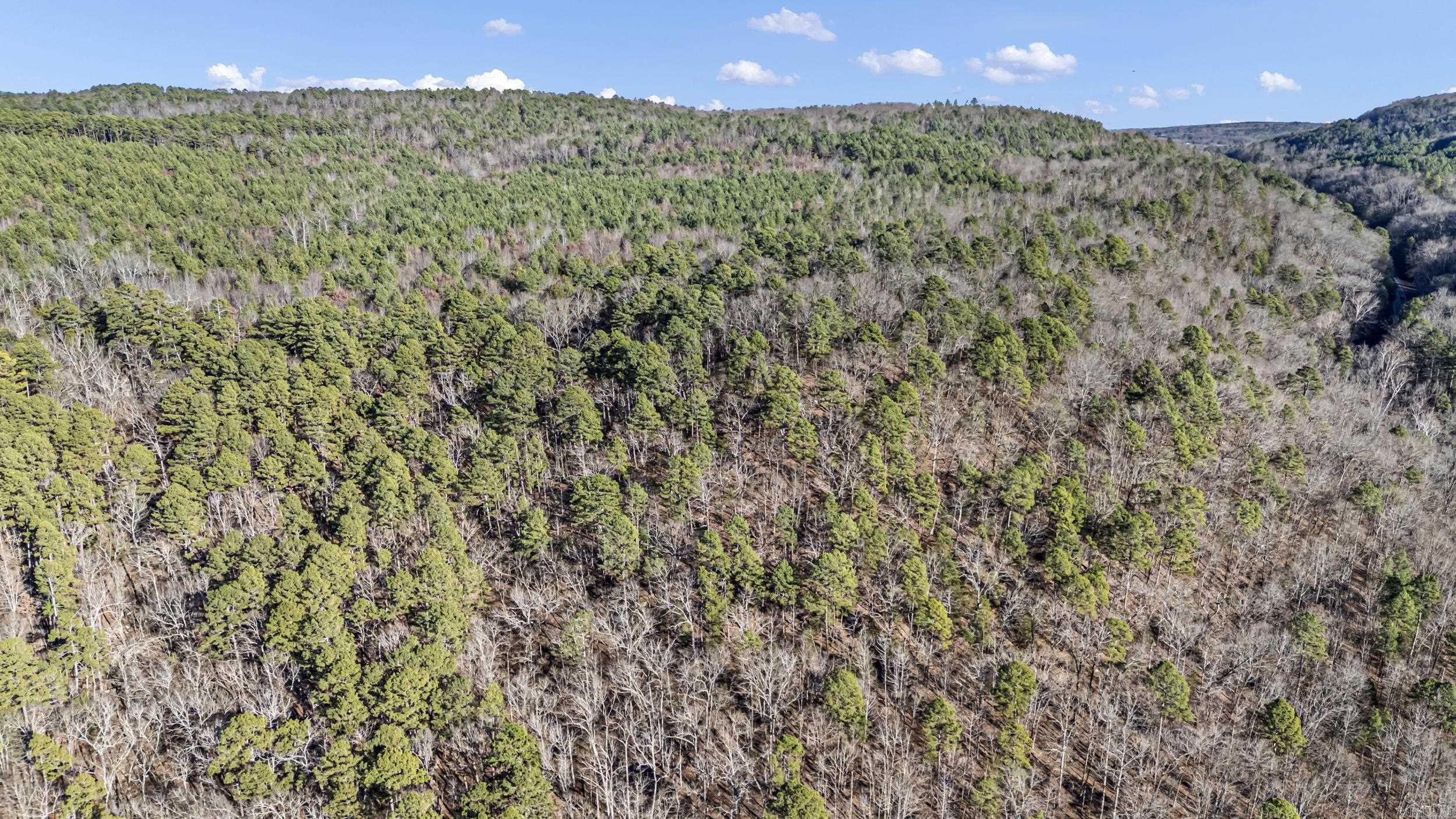 80 acres off of SR 164 W  Dover, AR