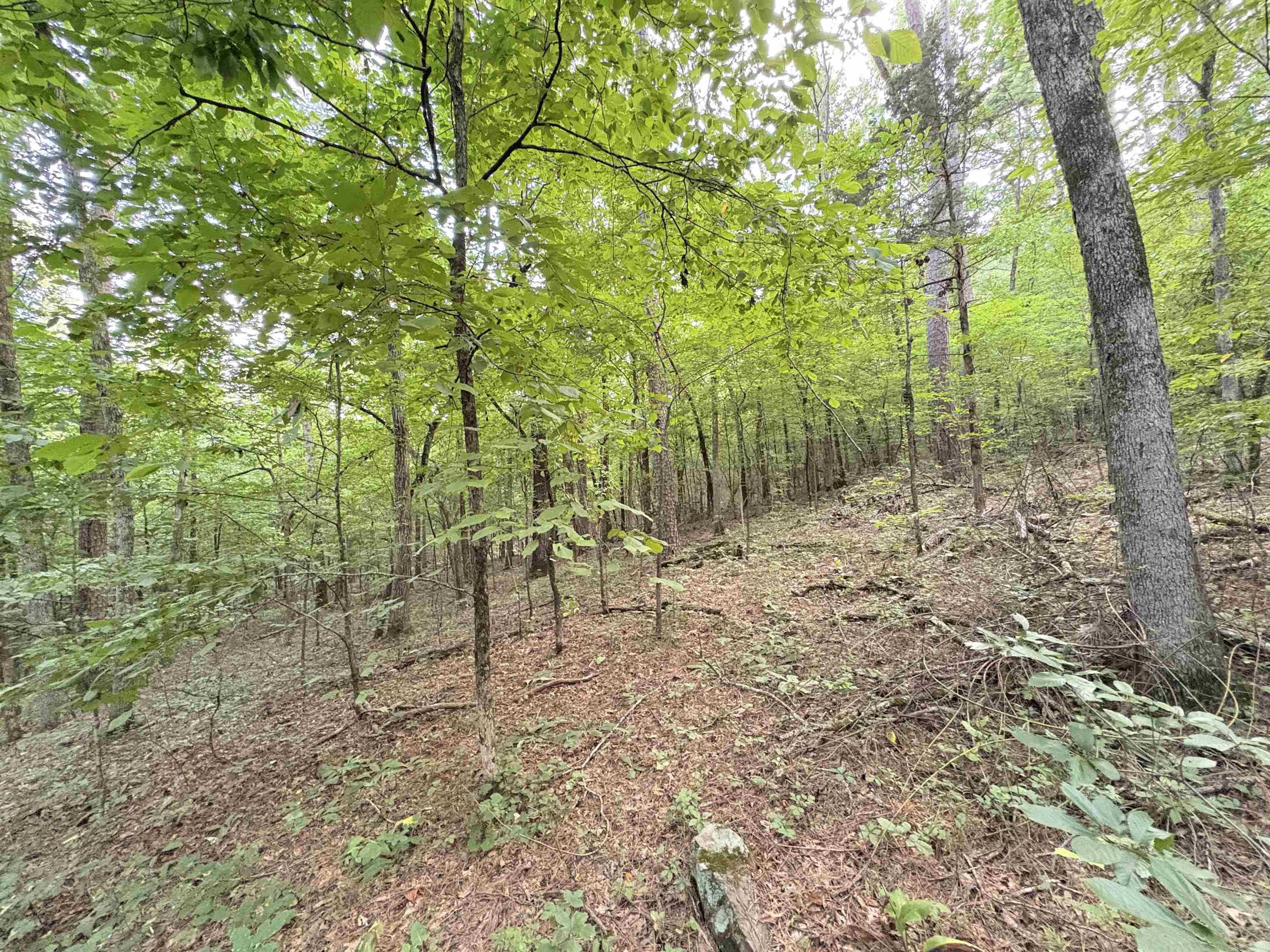 80 acres off of SR 164 W  Dover, AR