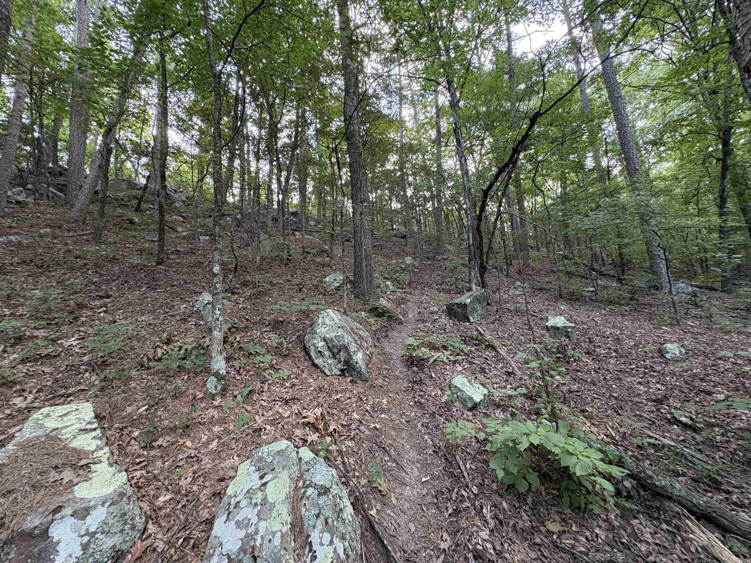 80 acres off of SR 164 W  Dover, AR