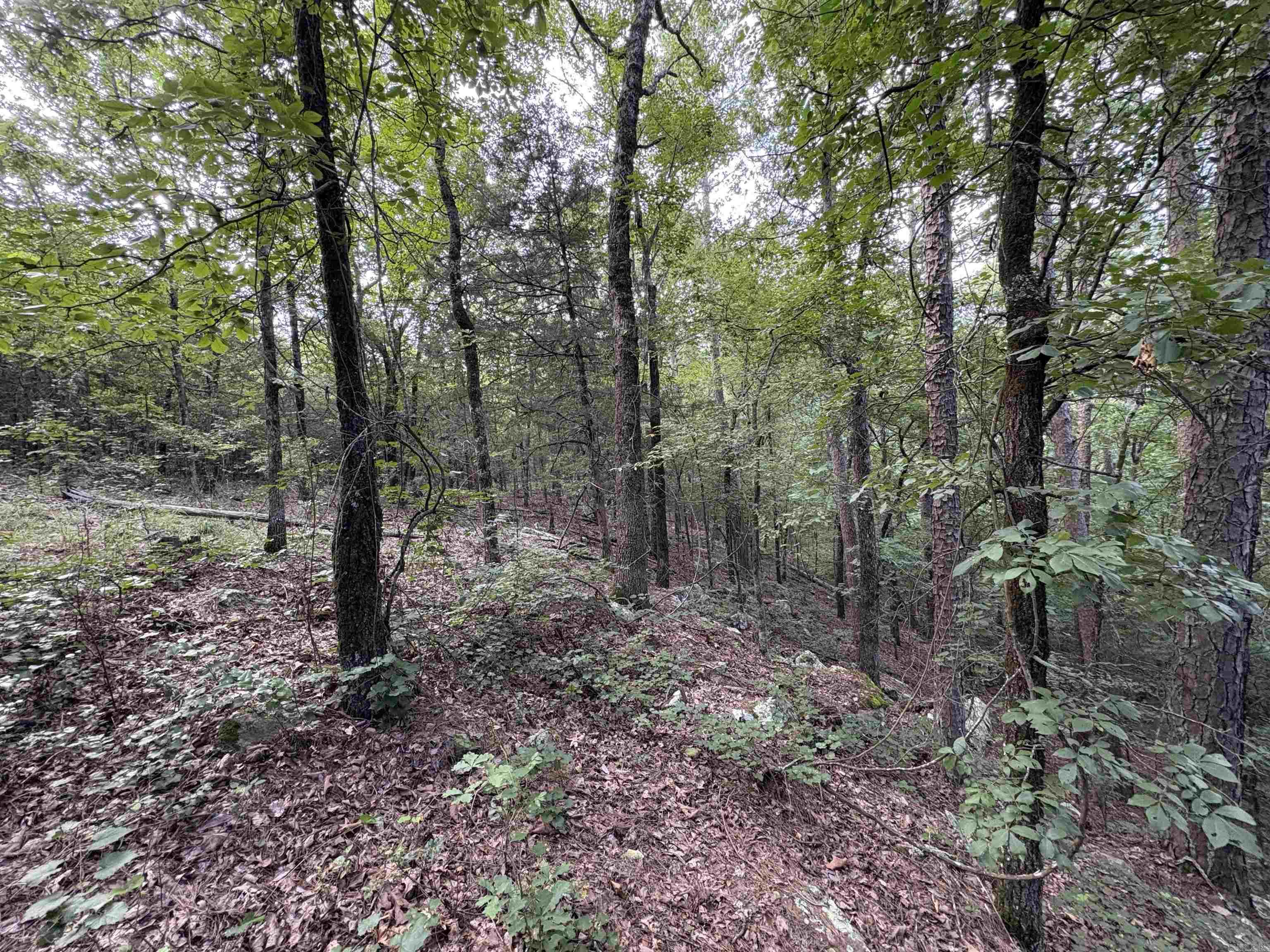 80 acres off of SR 164 W  Dover, AR