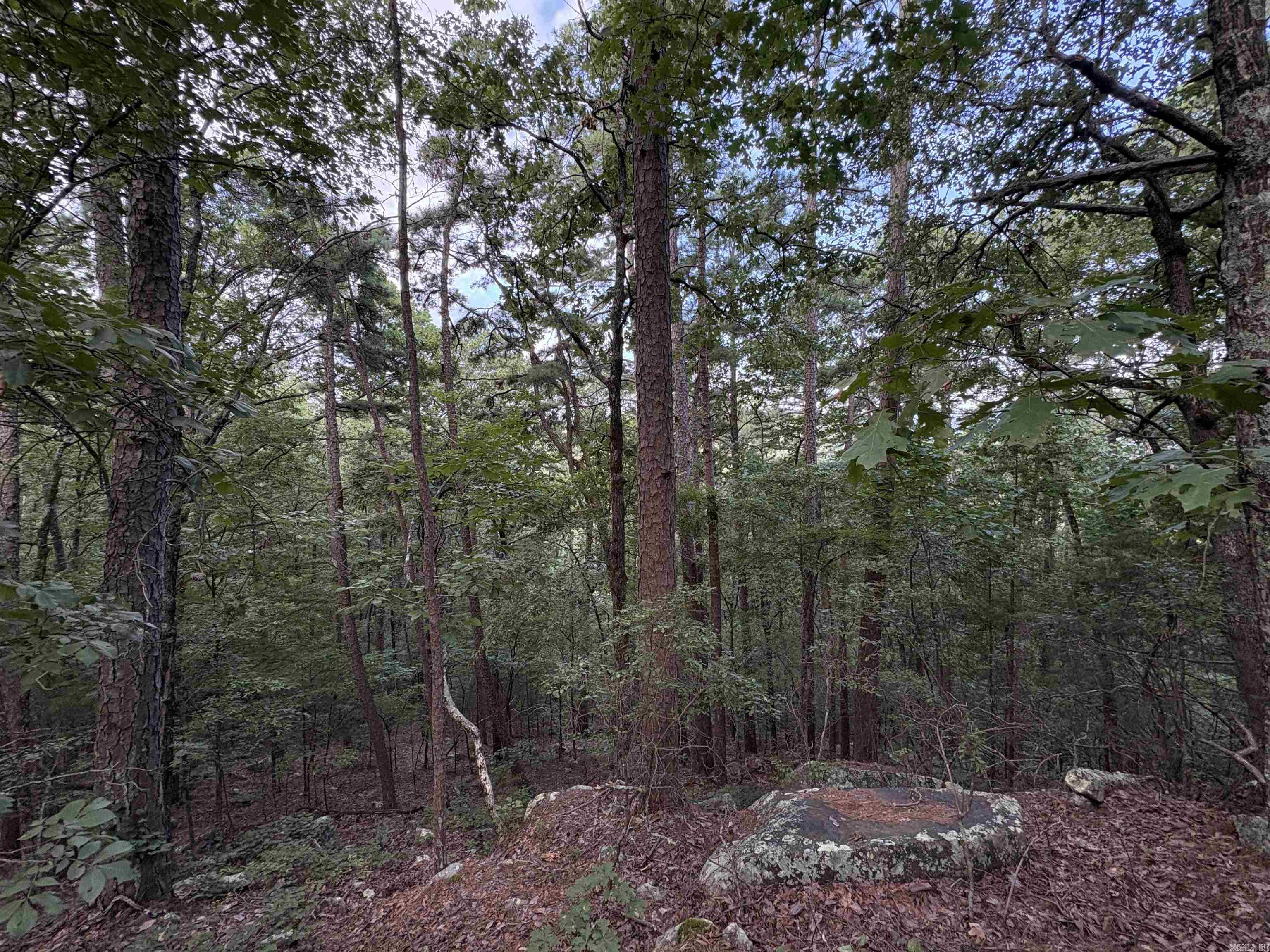 80 acres off of SR 164 W  Dover, AR