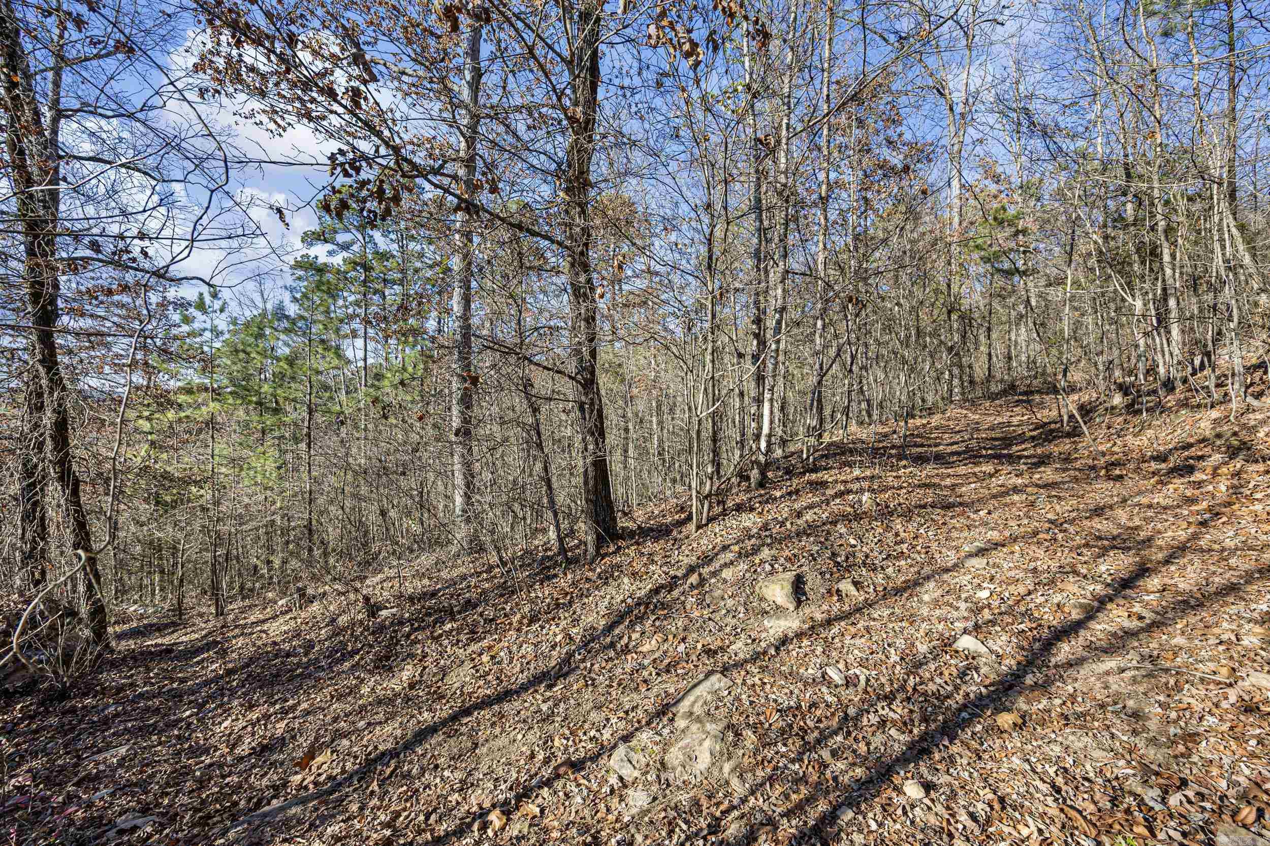 80 acres off of SR 164 W  Dover, AR
