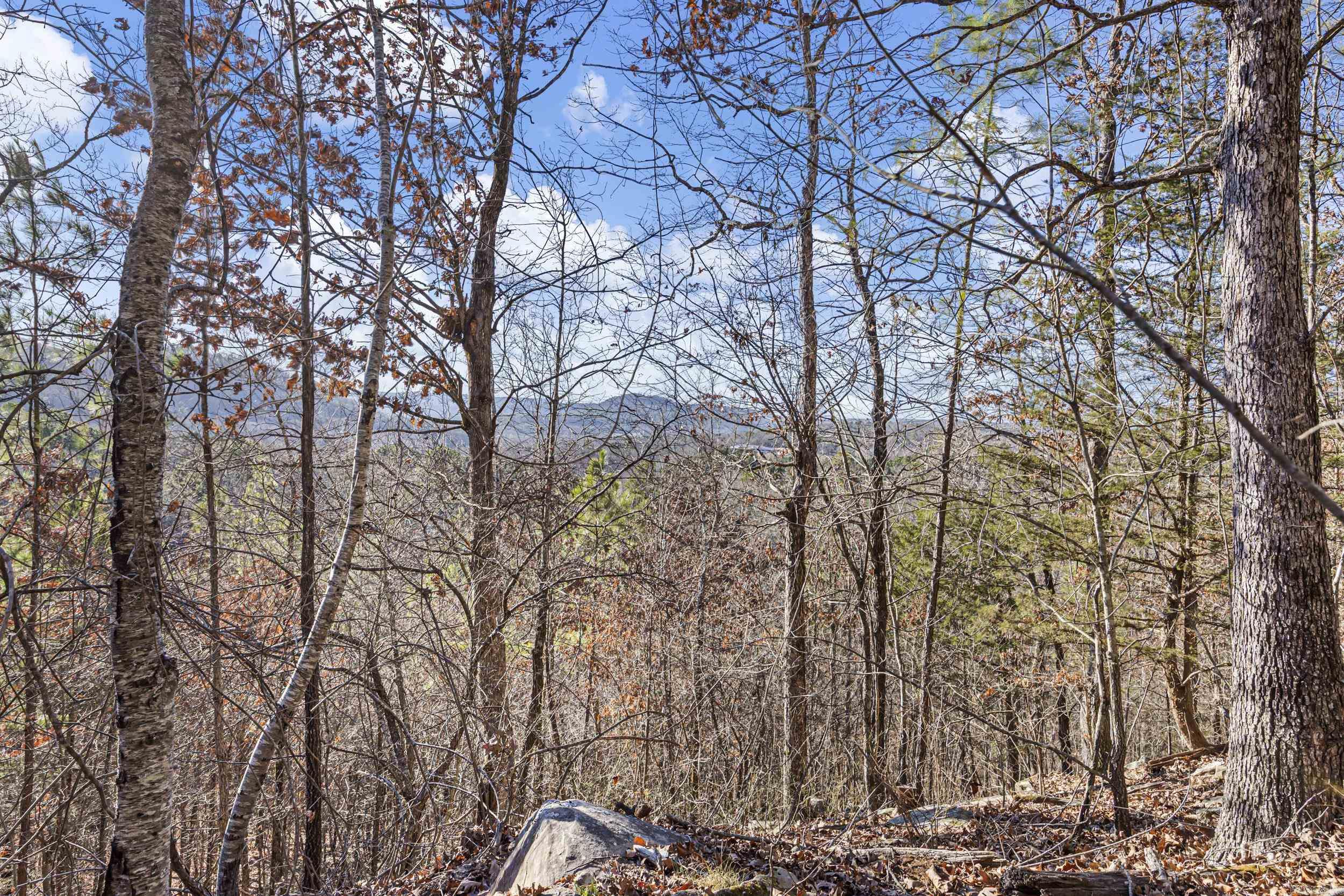 80 acres off of SR 164 W  Dover, AR