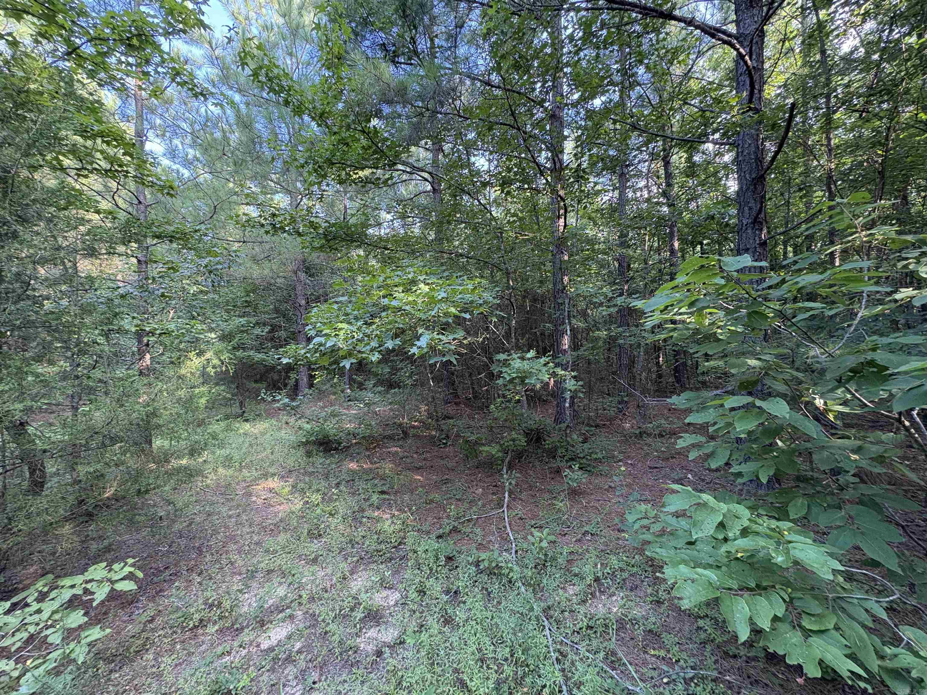 80 acres off of SR 164 W  Dover, AR