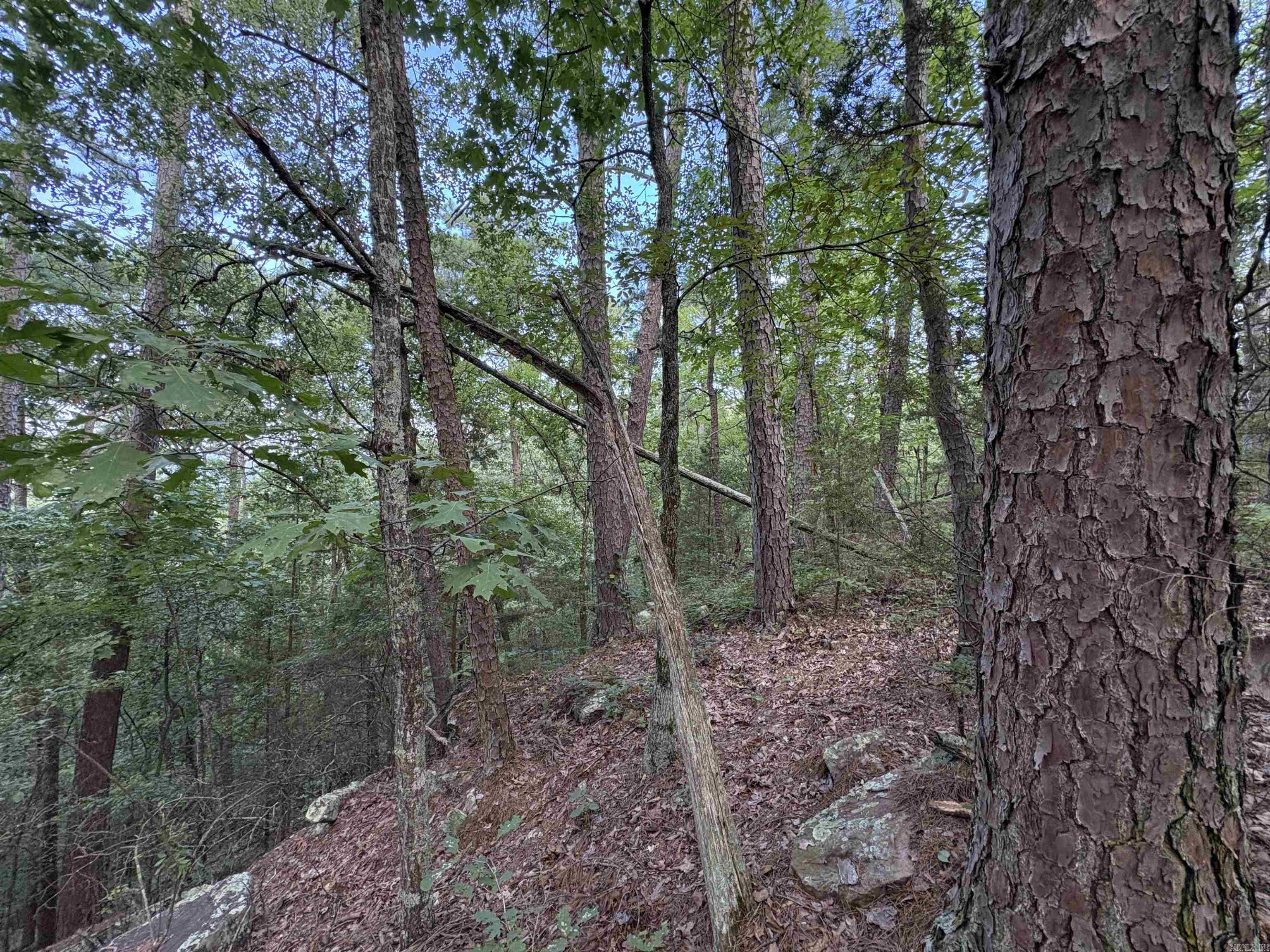 80 acres off of SR 164 W  Dover, AR