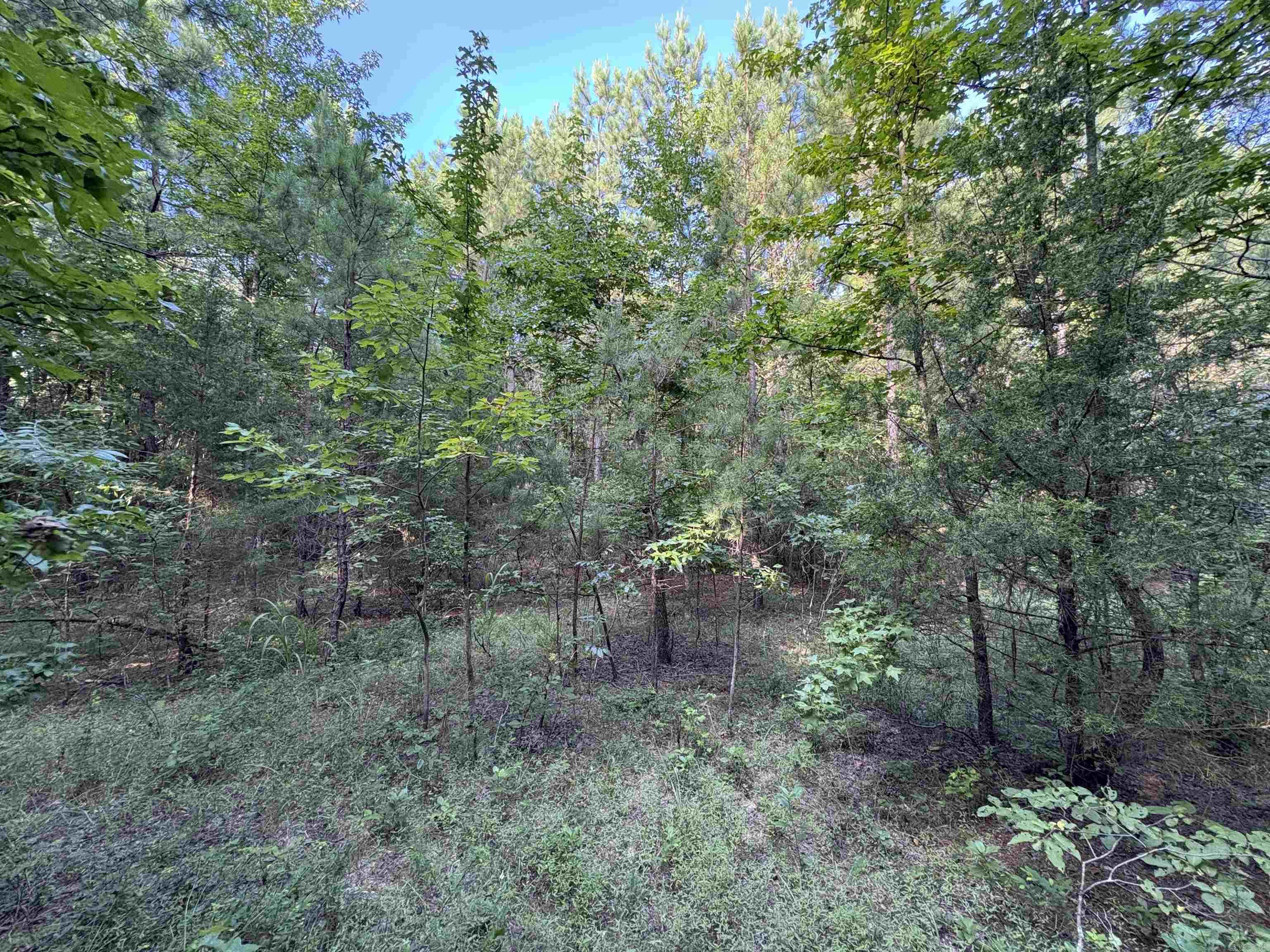 80 acres off of SR 164 W  Dover, AR