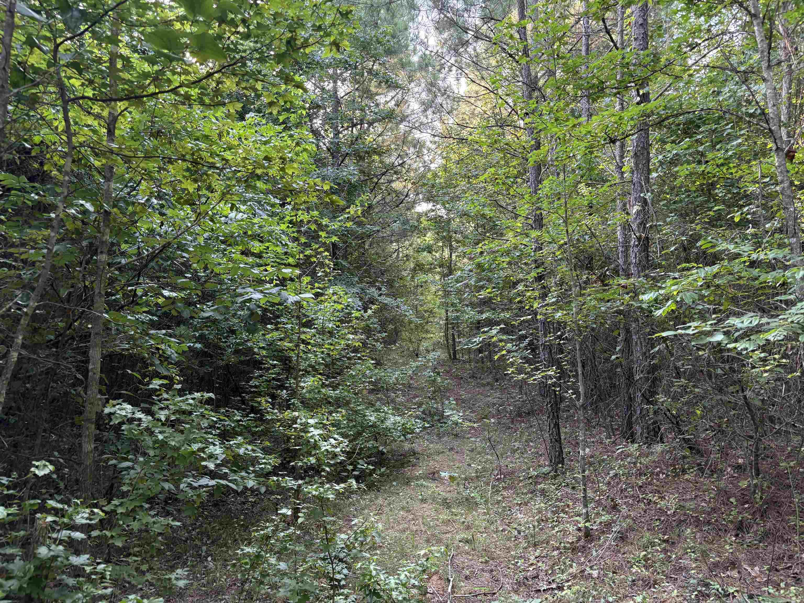 80 acres off of SR 164 W  Dover, AR