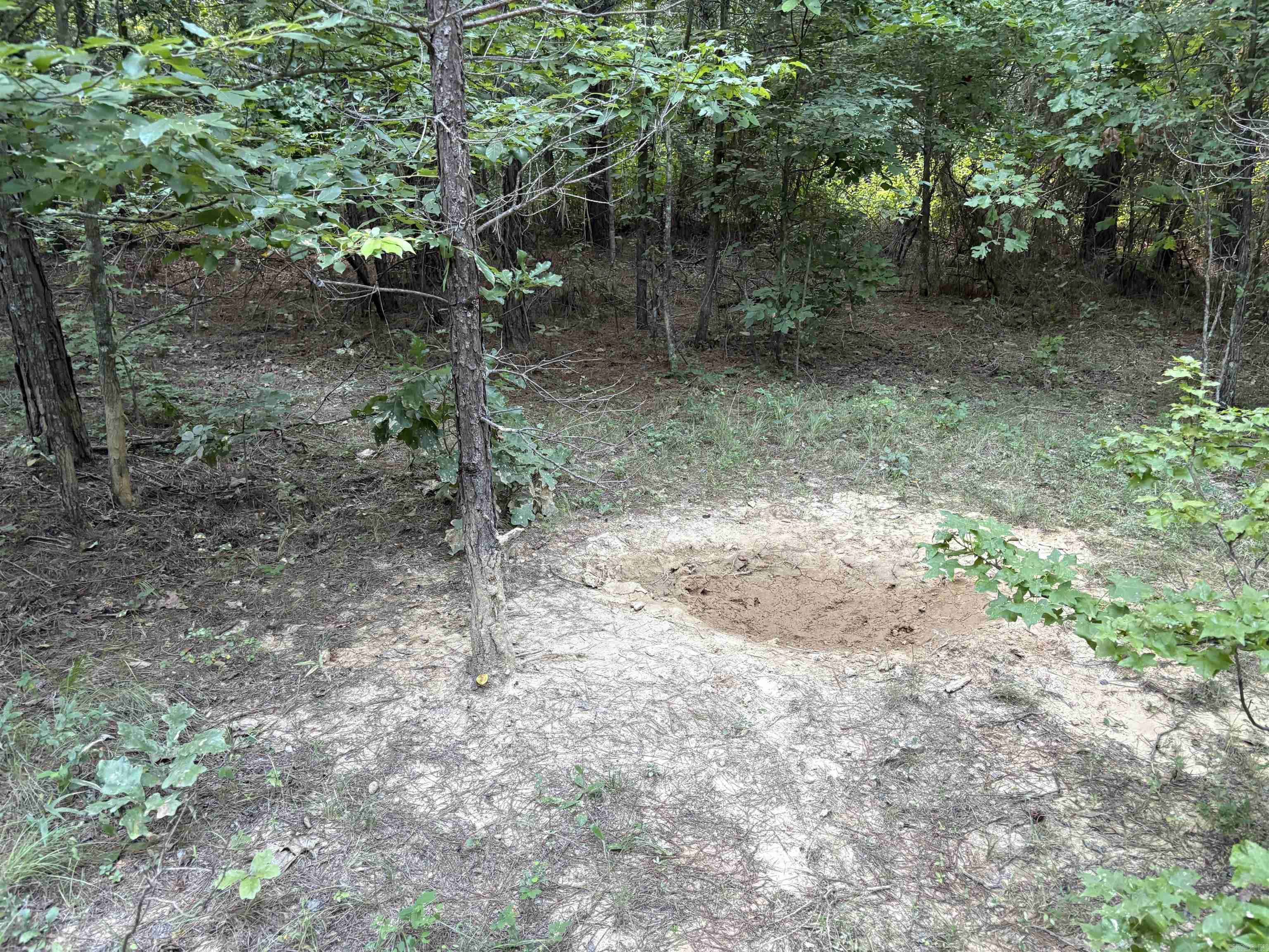 80 acres off of SR 164 W  Dover, AR