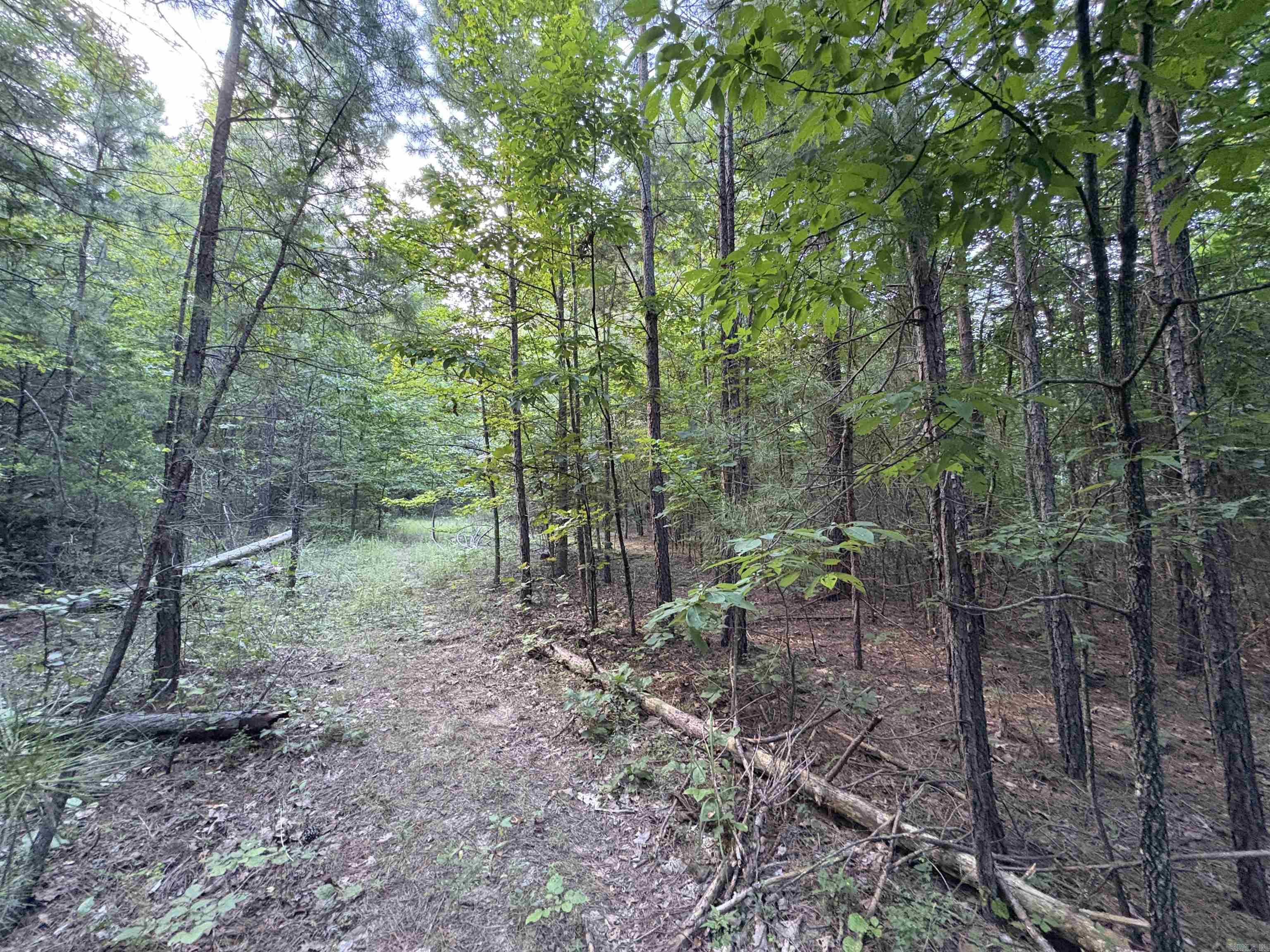 80 acres off of SR 164 W  Dover, AR