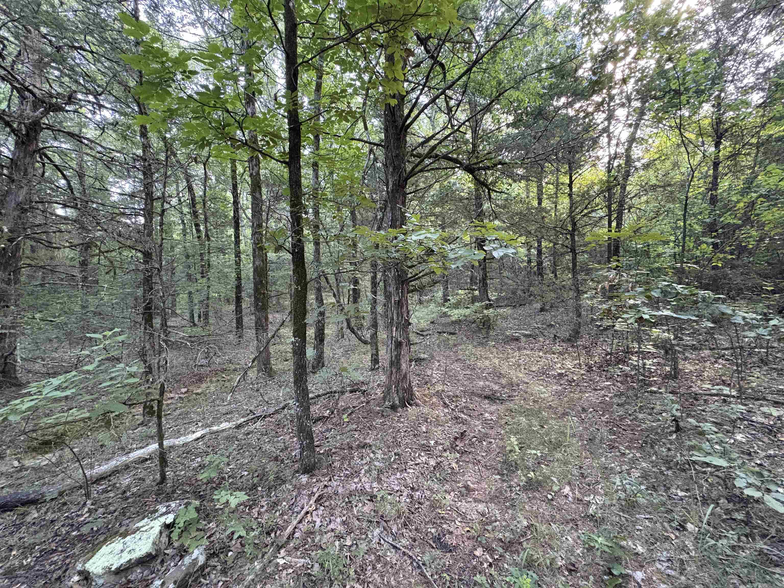 80 acres off of SR 164 W  Dover, AR