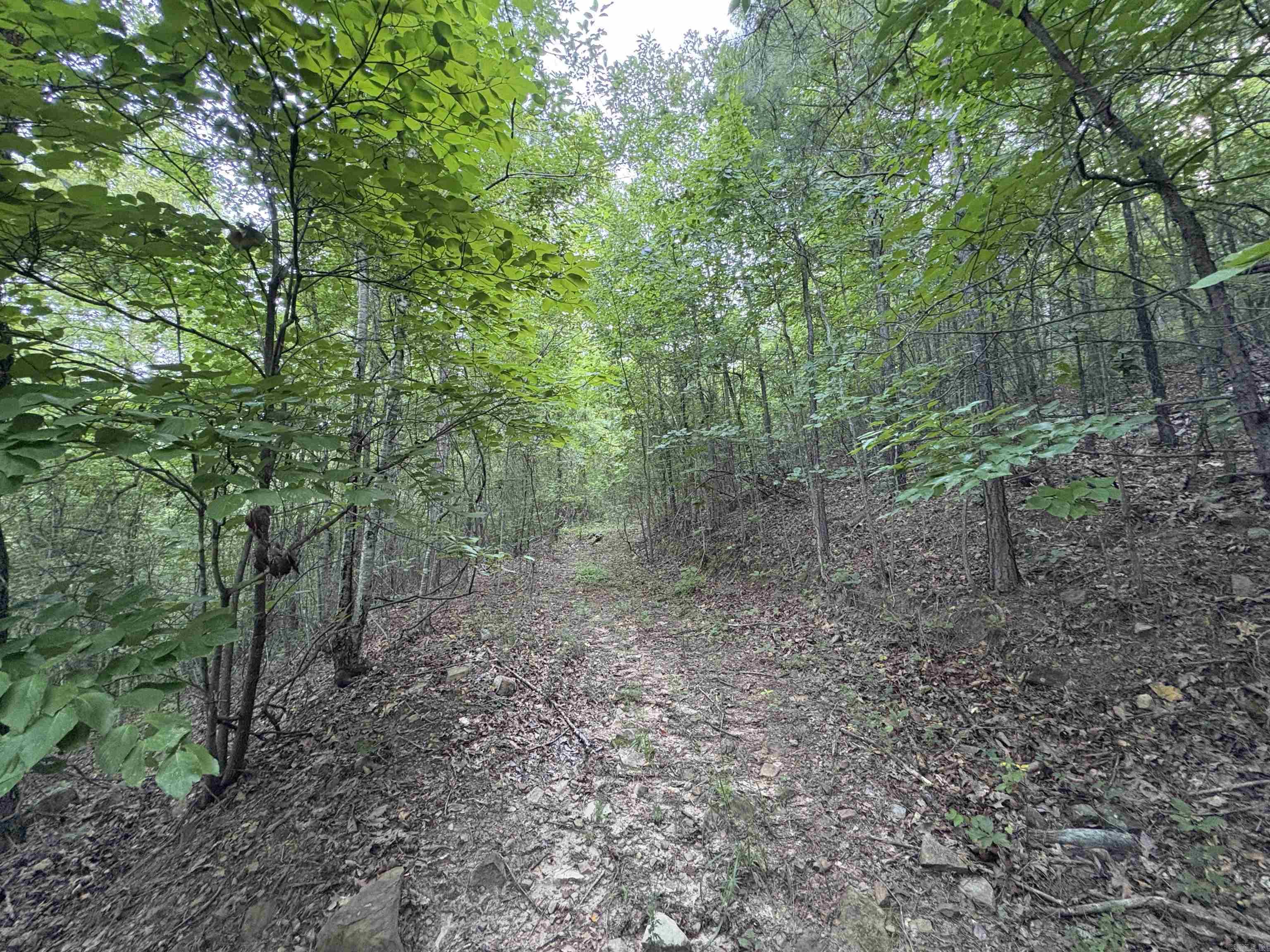 80 acres off of SR 164 W  Dover, AR