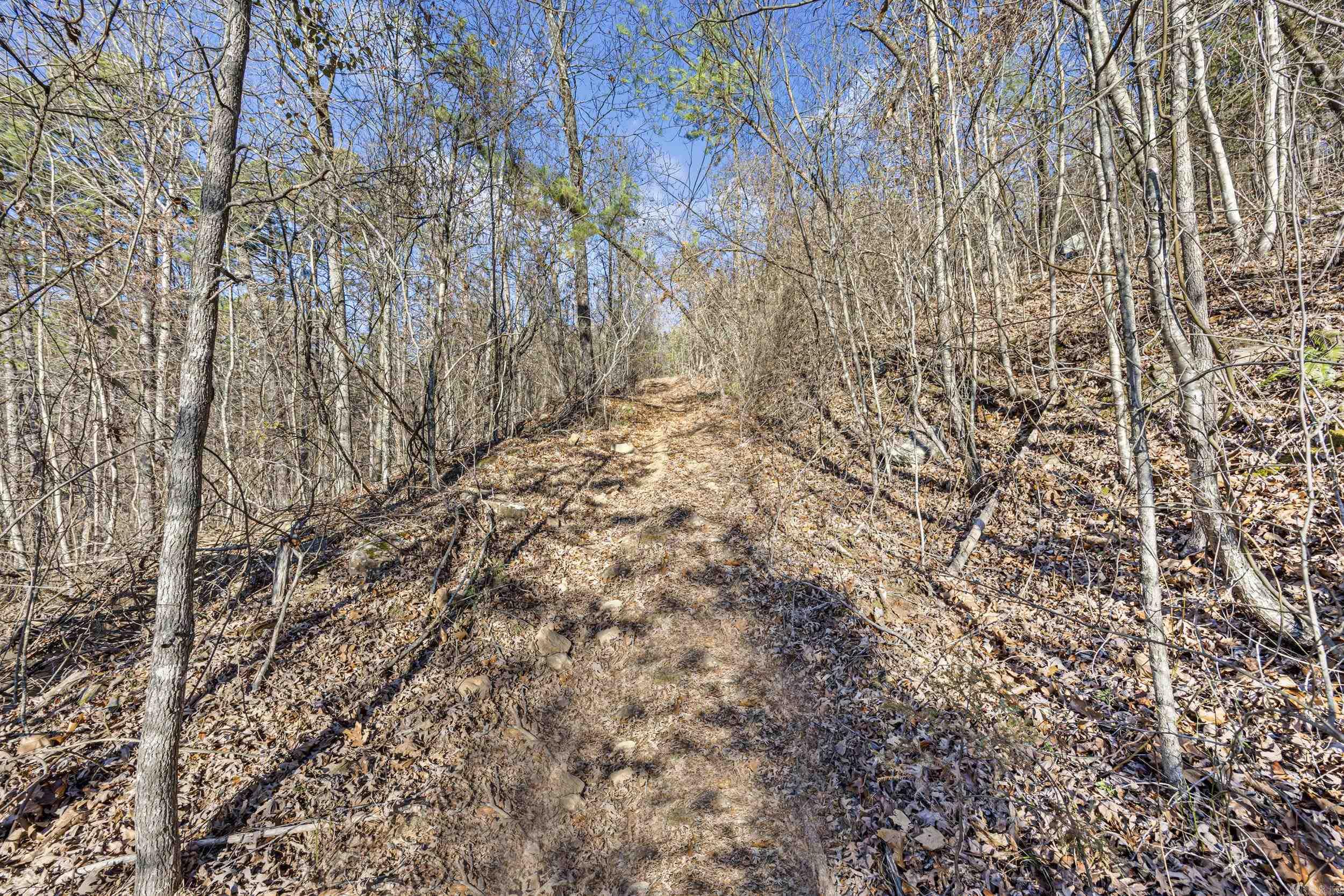 80 acres off of SR 164 W  Dover, AR