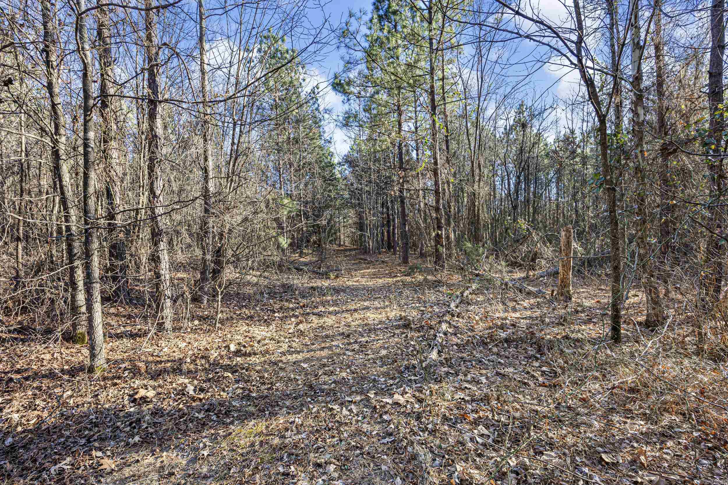 80 acres off of SR 164 W  Dover, AR