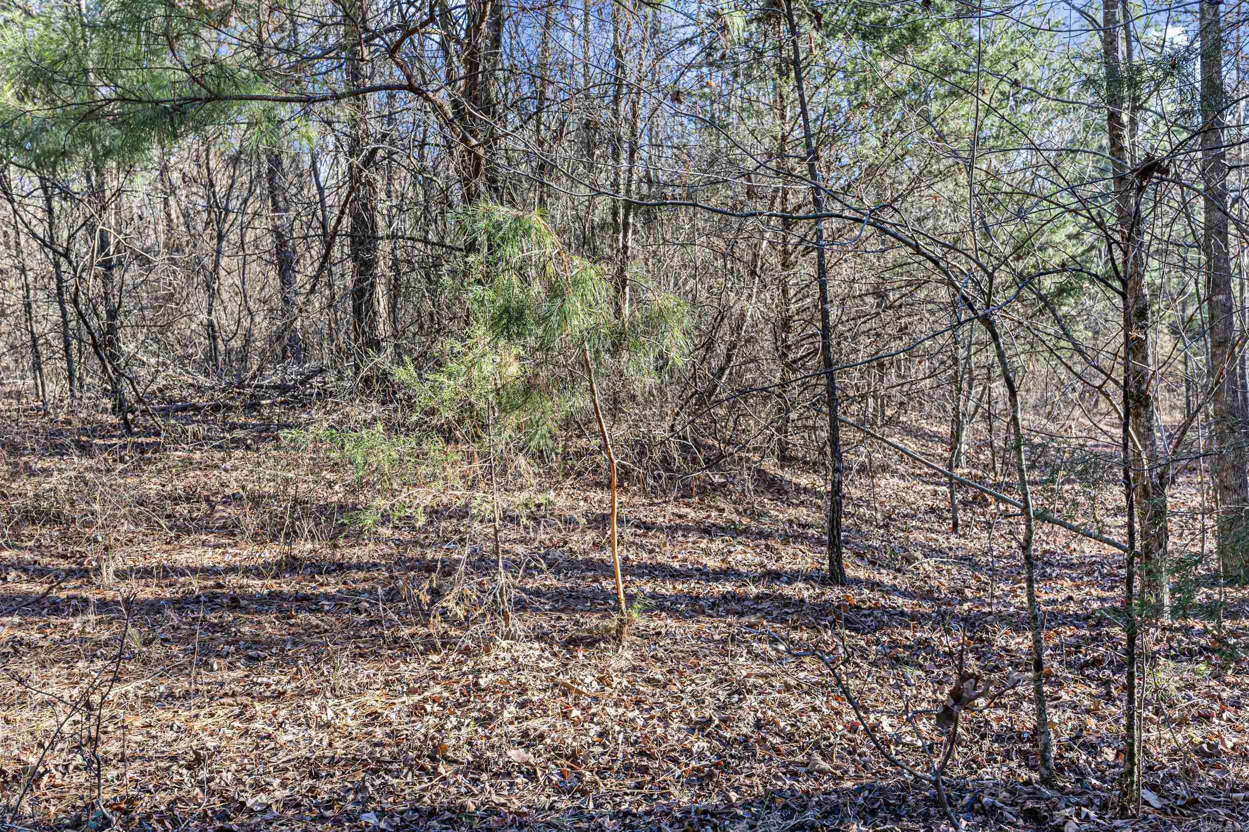 80 acres off of SR 164 W  Dover, AR