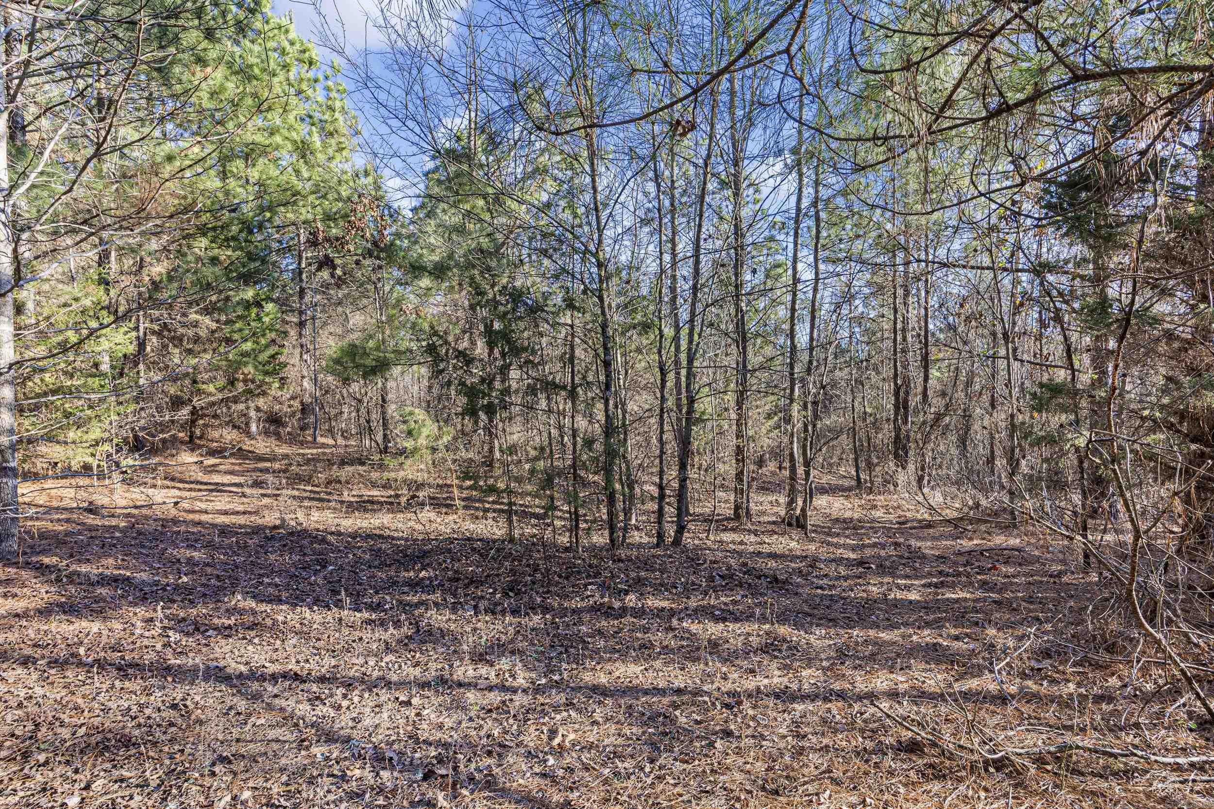 80 acres off of SR 164 W  Dover, AR