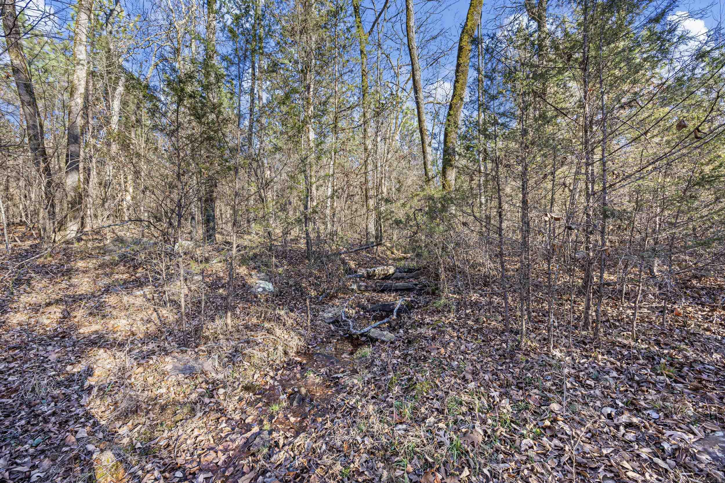 80 acres off of SR 164 W  Dover, AR