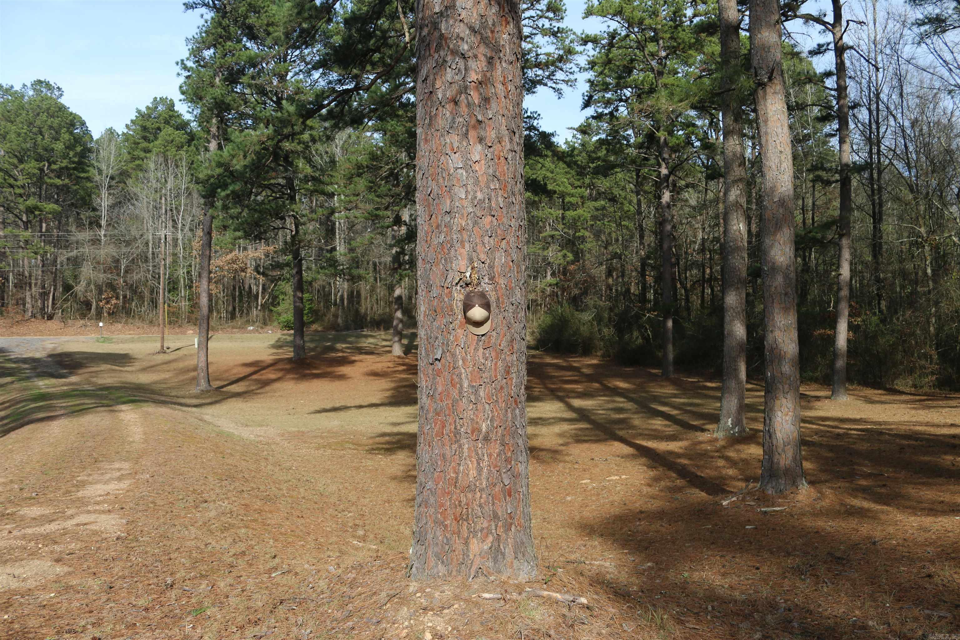 3061 W 84  Umpire, AR