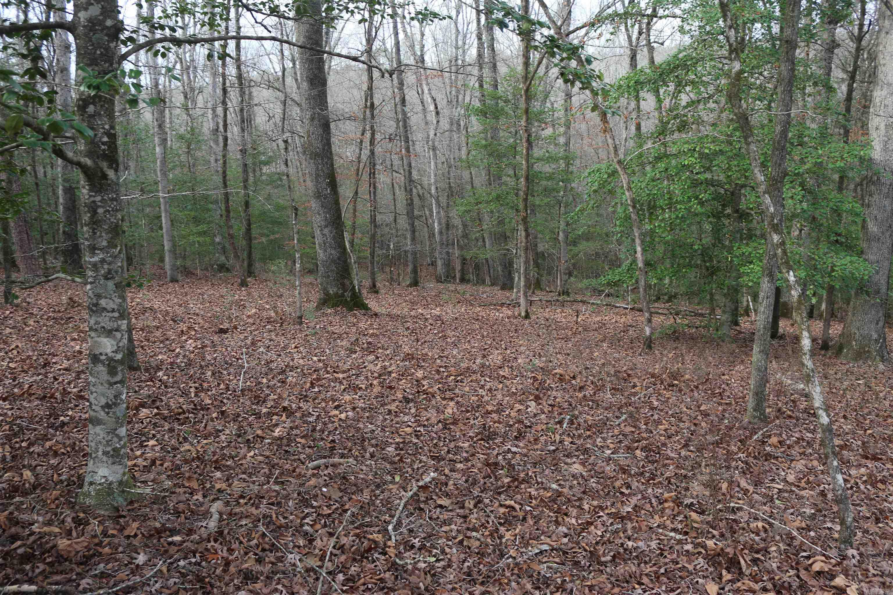 3061 W 84  Umpire, AR