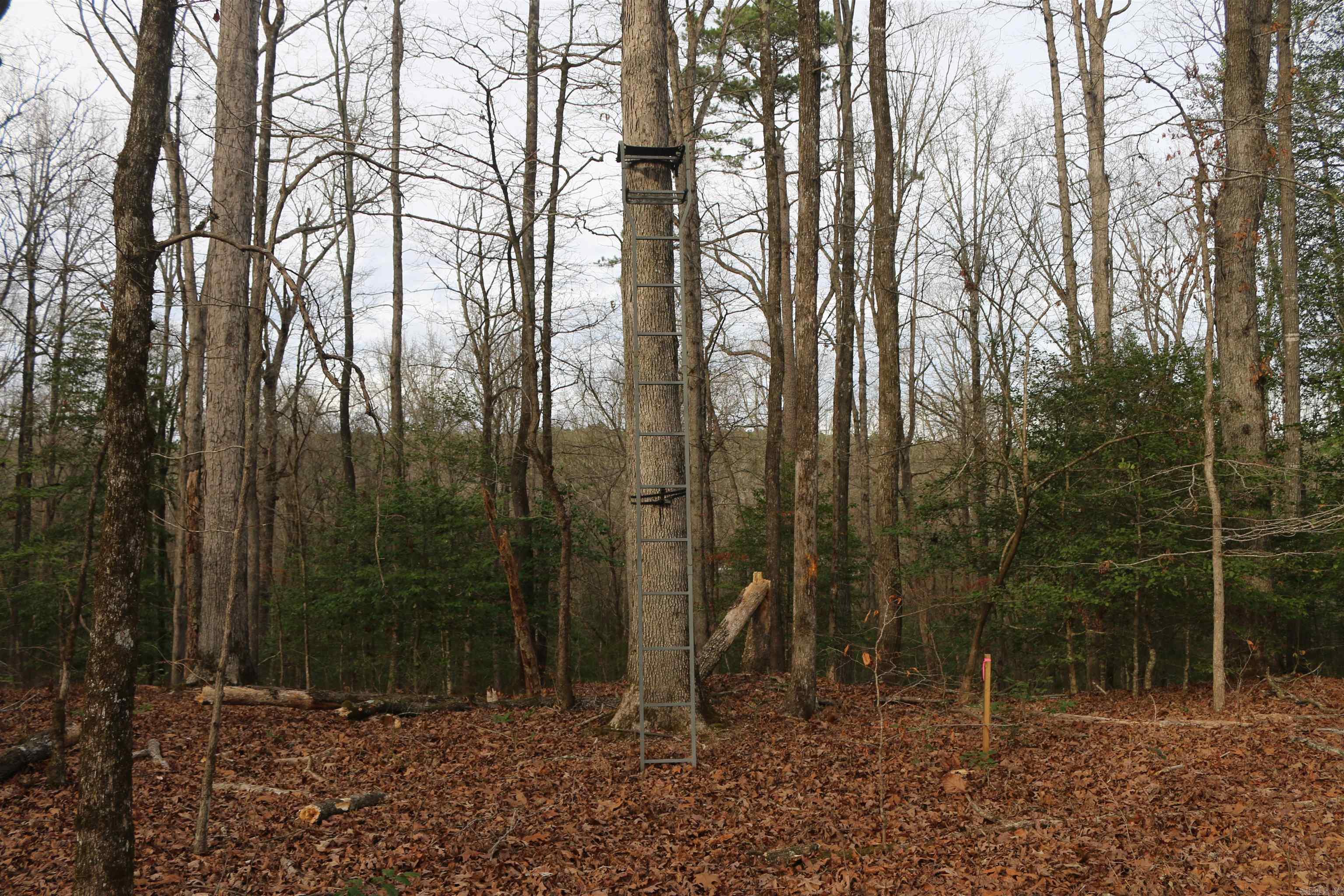 3061 W 84  Umpire, AR