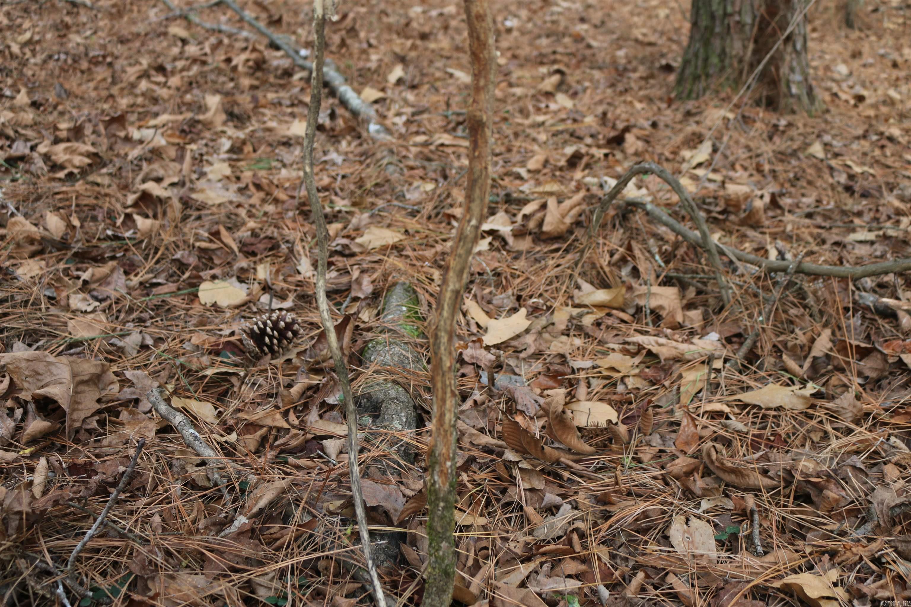 3061 W 84  Umpire, AR