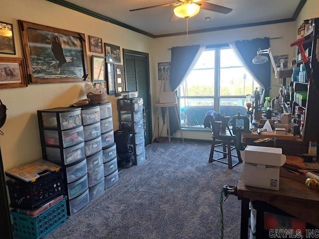 155 Timber Ridge Road  Drasco, AR