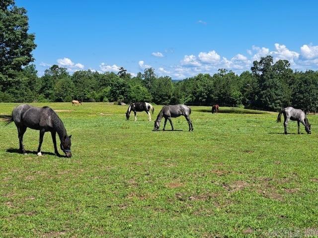 155 Timber Ridge Road  Drasco, AR