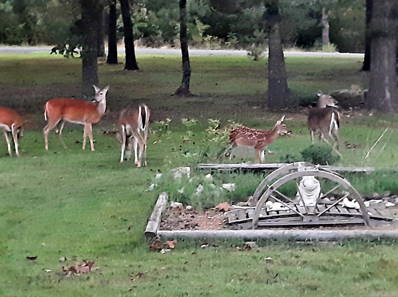 302 E Church  Horseshoe Bend, AR