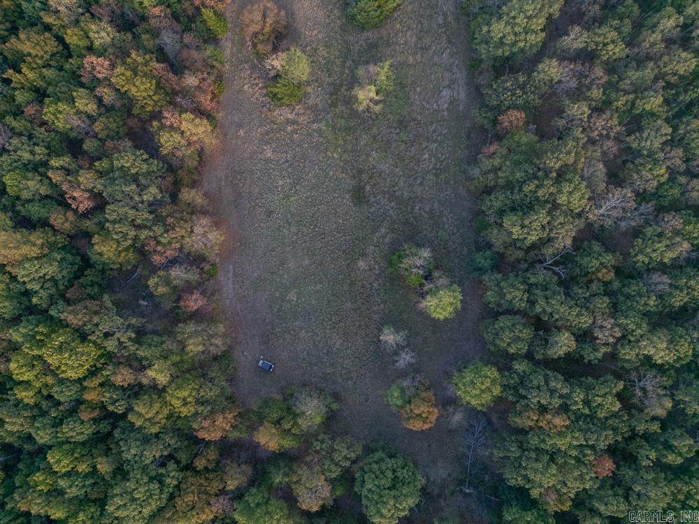 0000 McFarr  Ravenden, AR