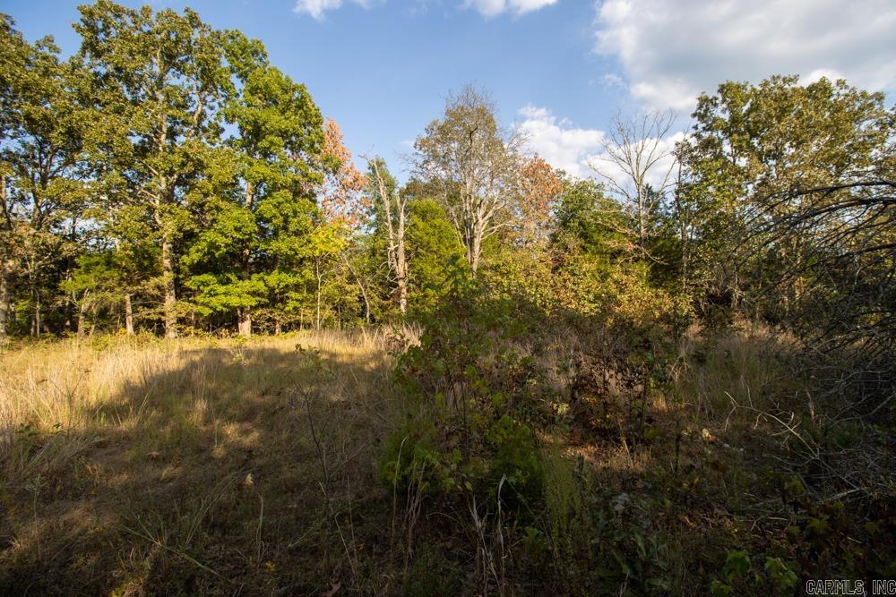 0000 McFarr  Ravenden, AR