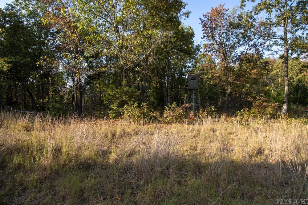 0000 McFarr  Ravenden, AR