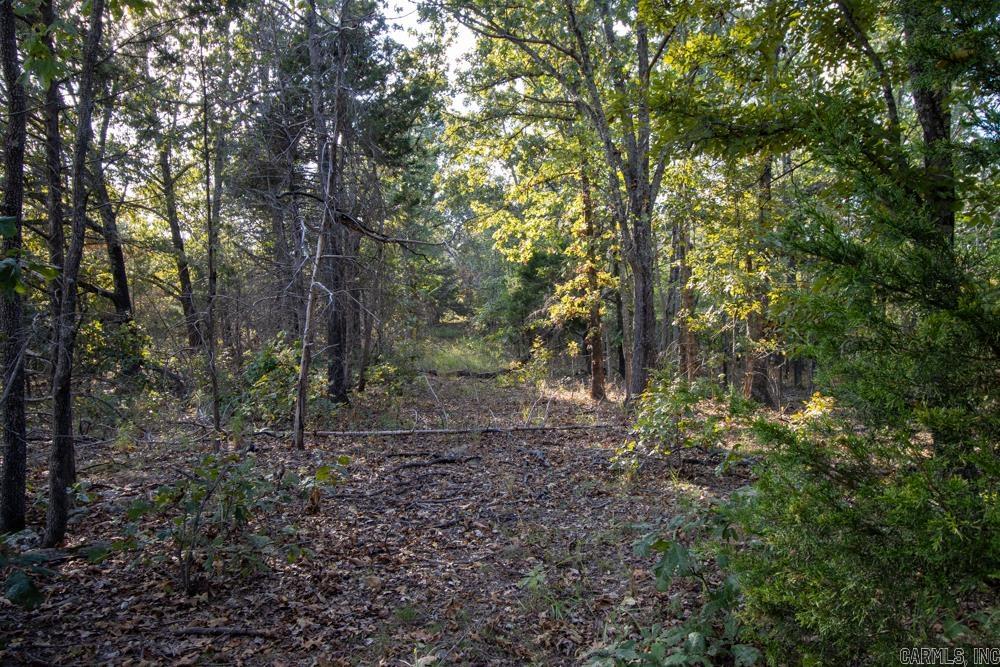 0000 McFarr  Ravenden, AR