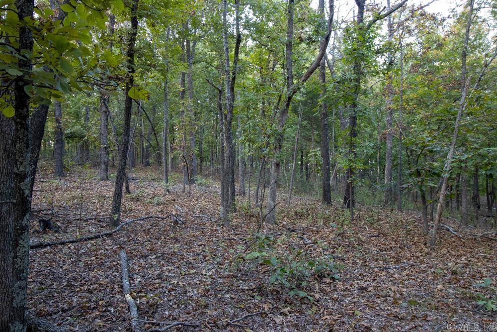 0000 McFarr  Ravenden, AR