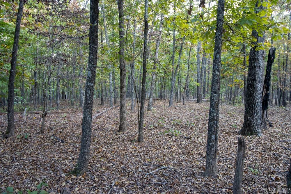 0000 McFarr  Ravenden, AR