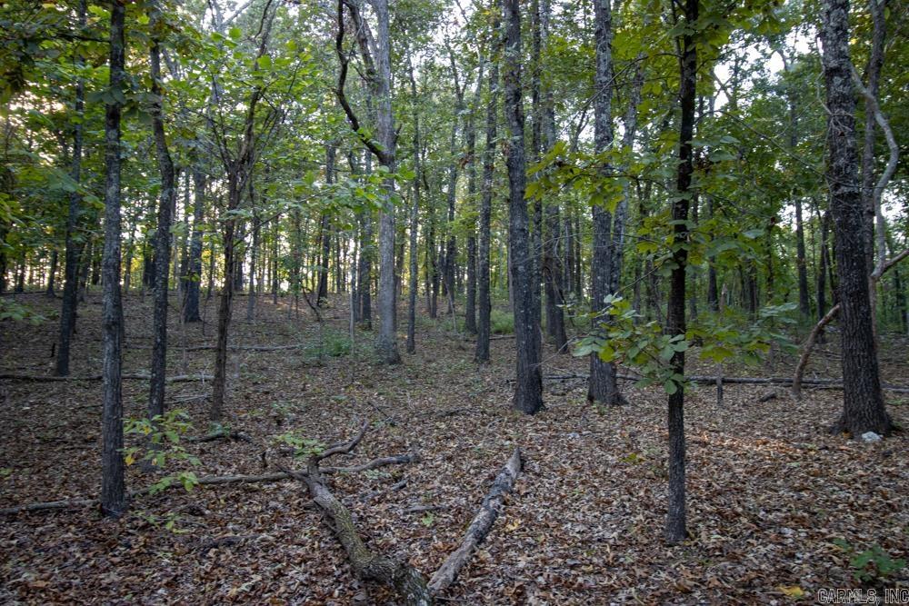 0000 McFarr  Ravenden, AR