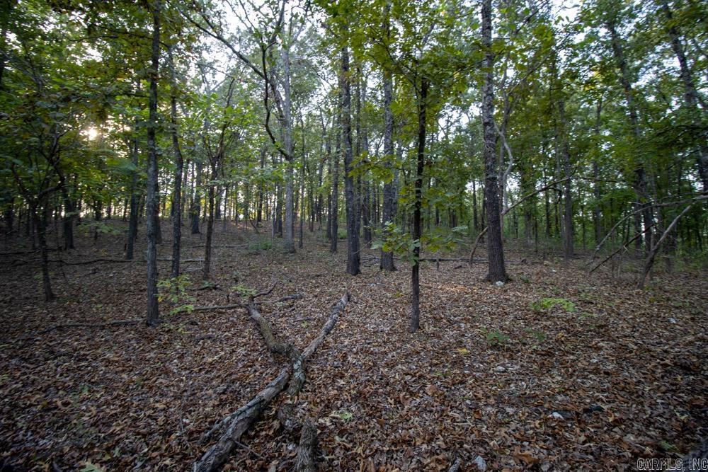 0000 McFarr  Ravenden, AR