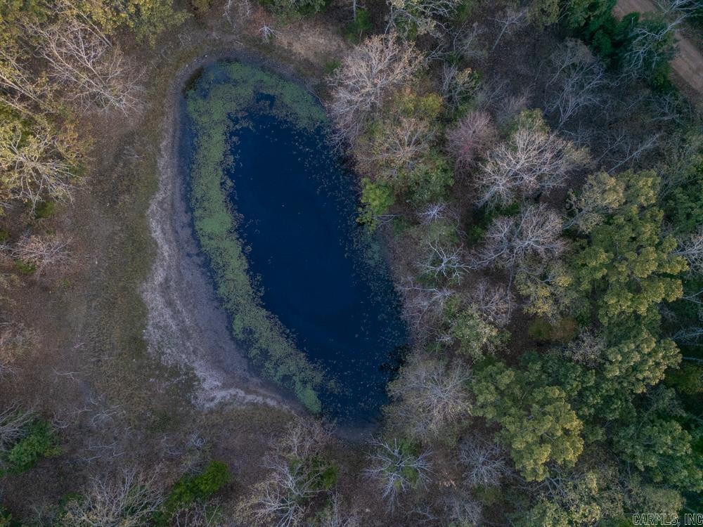 0000 McFarr  Ravenden, AR