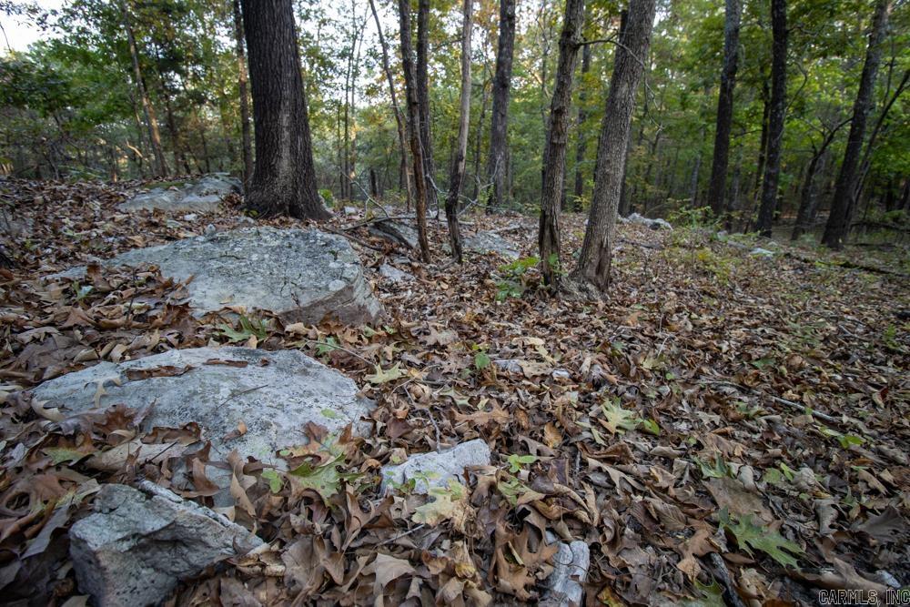 0000 McFarr  Ravenden, AR