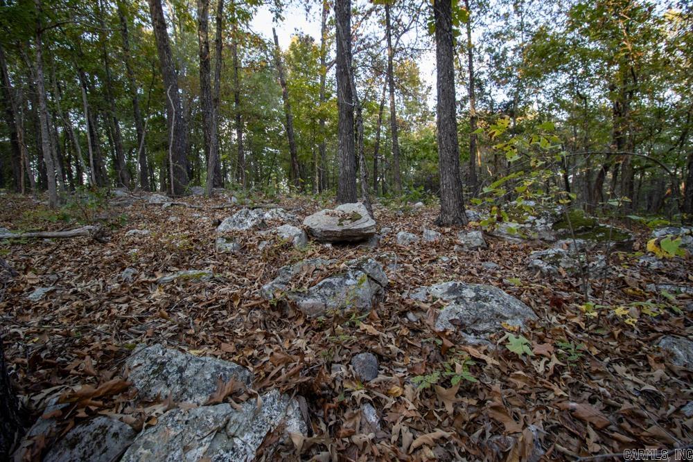 0000 McFarr  Ravenden, AR